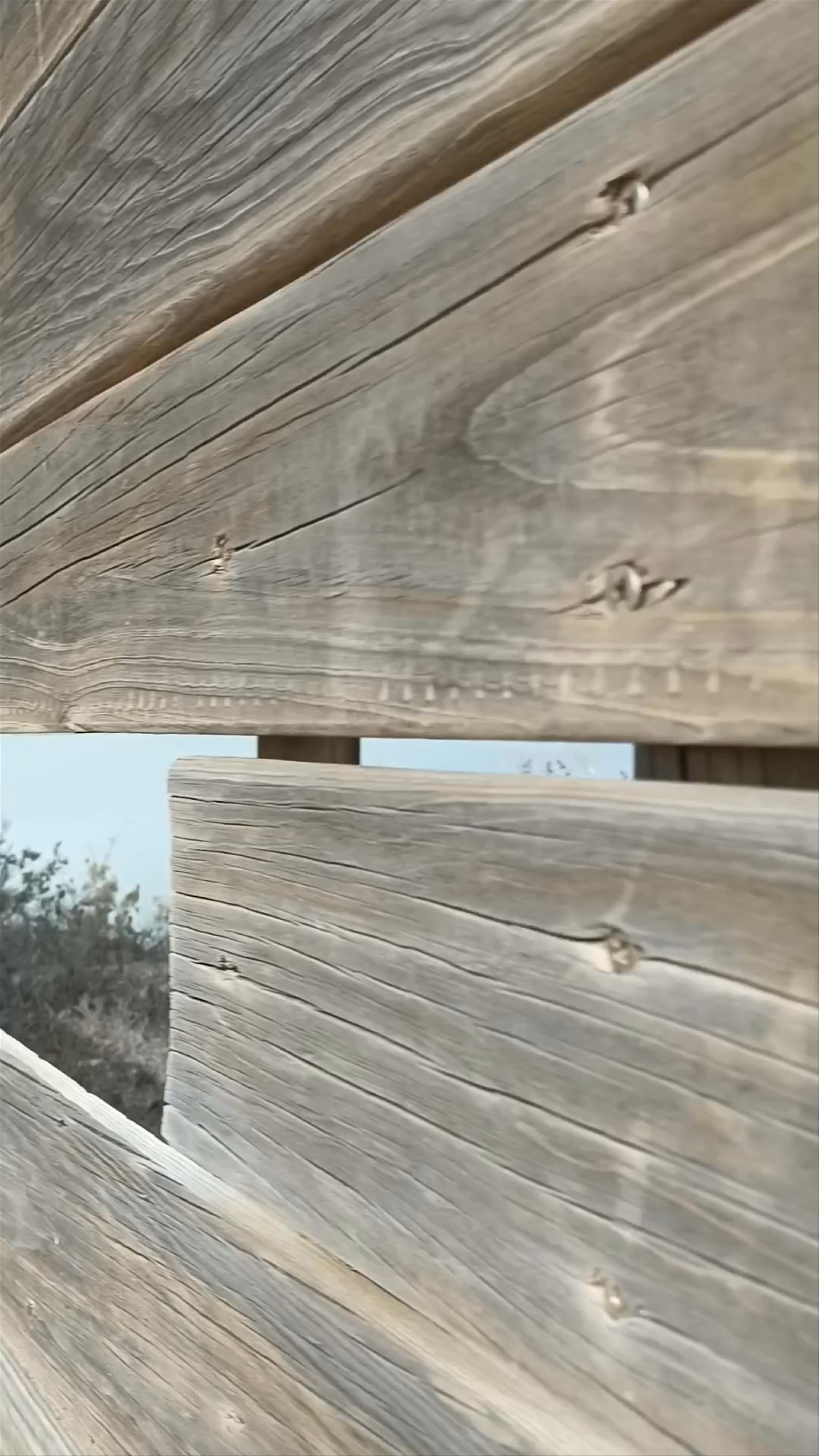 Observatorio de Aves