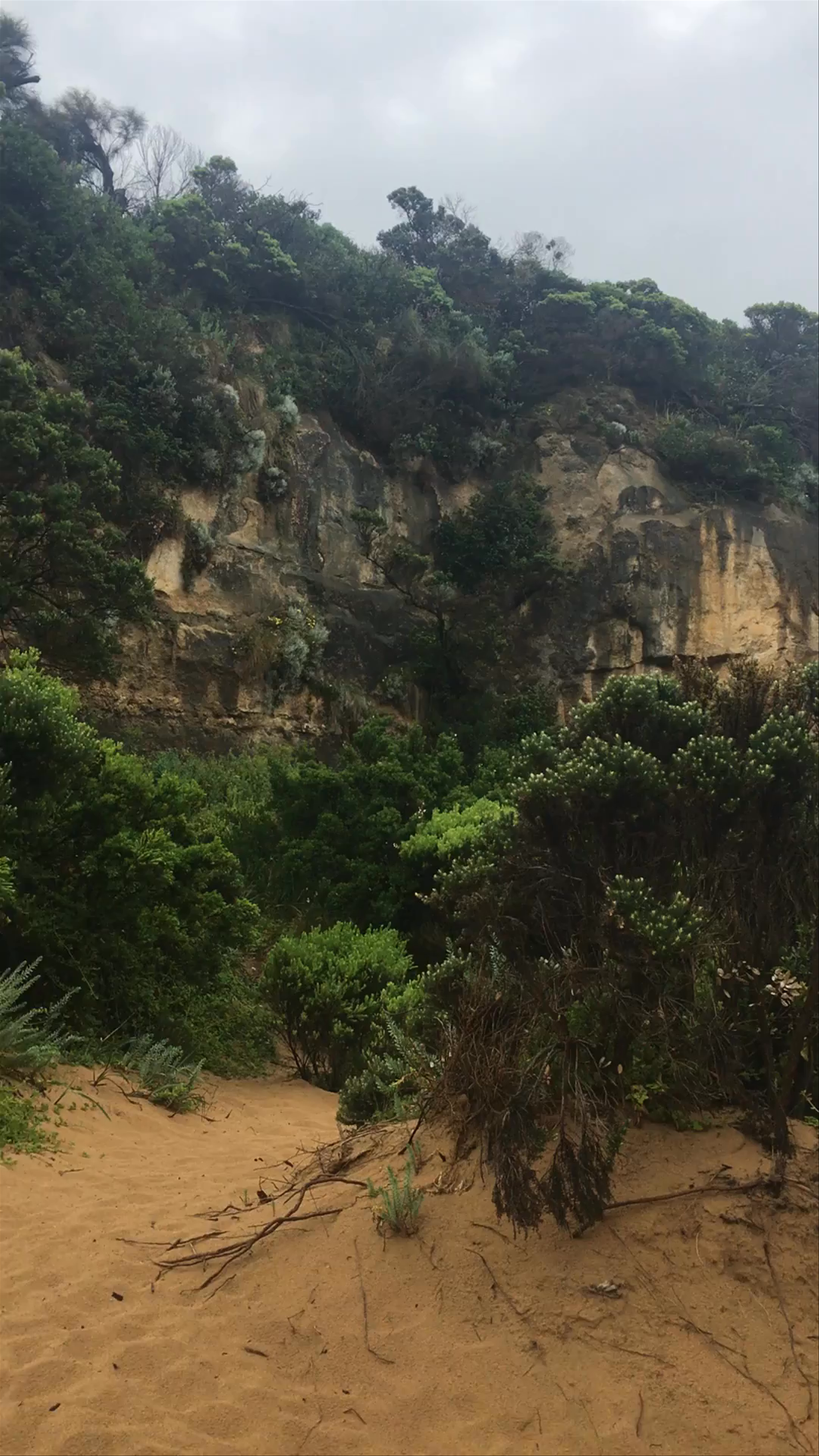 Loch Ard Gorge