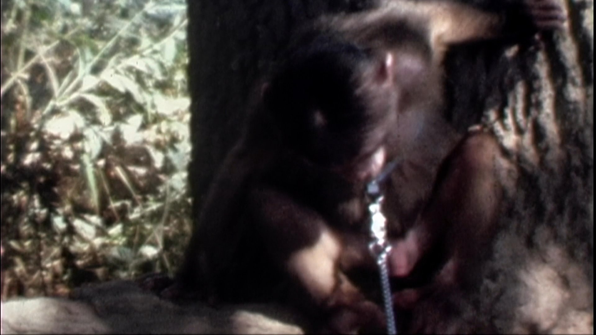 A man shares personal memories while accompanying vintage home movie footage of youths playing on a rope swing at a lake and interacting with a tethered monkey.