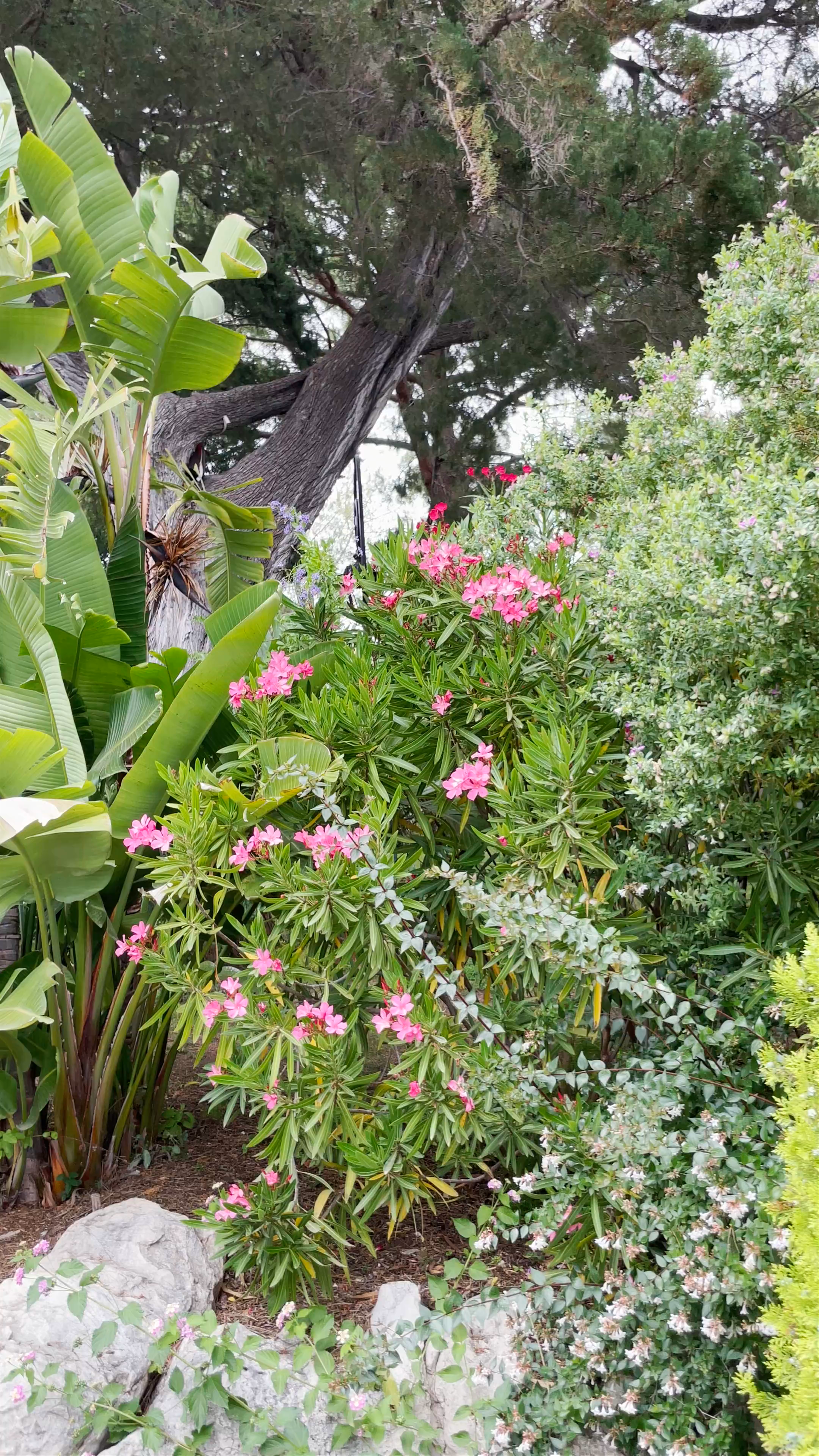 Jardines de San Martín