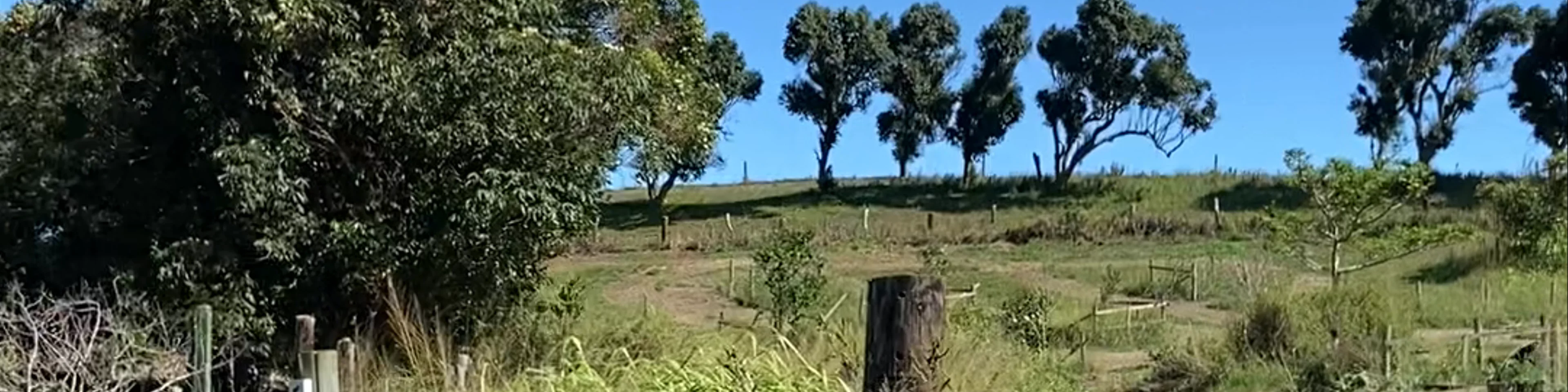 Kaukini Farm