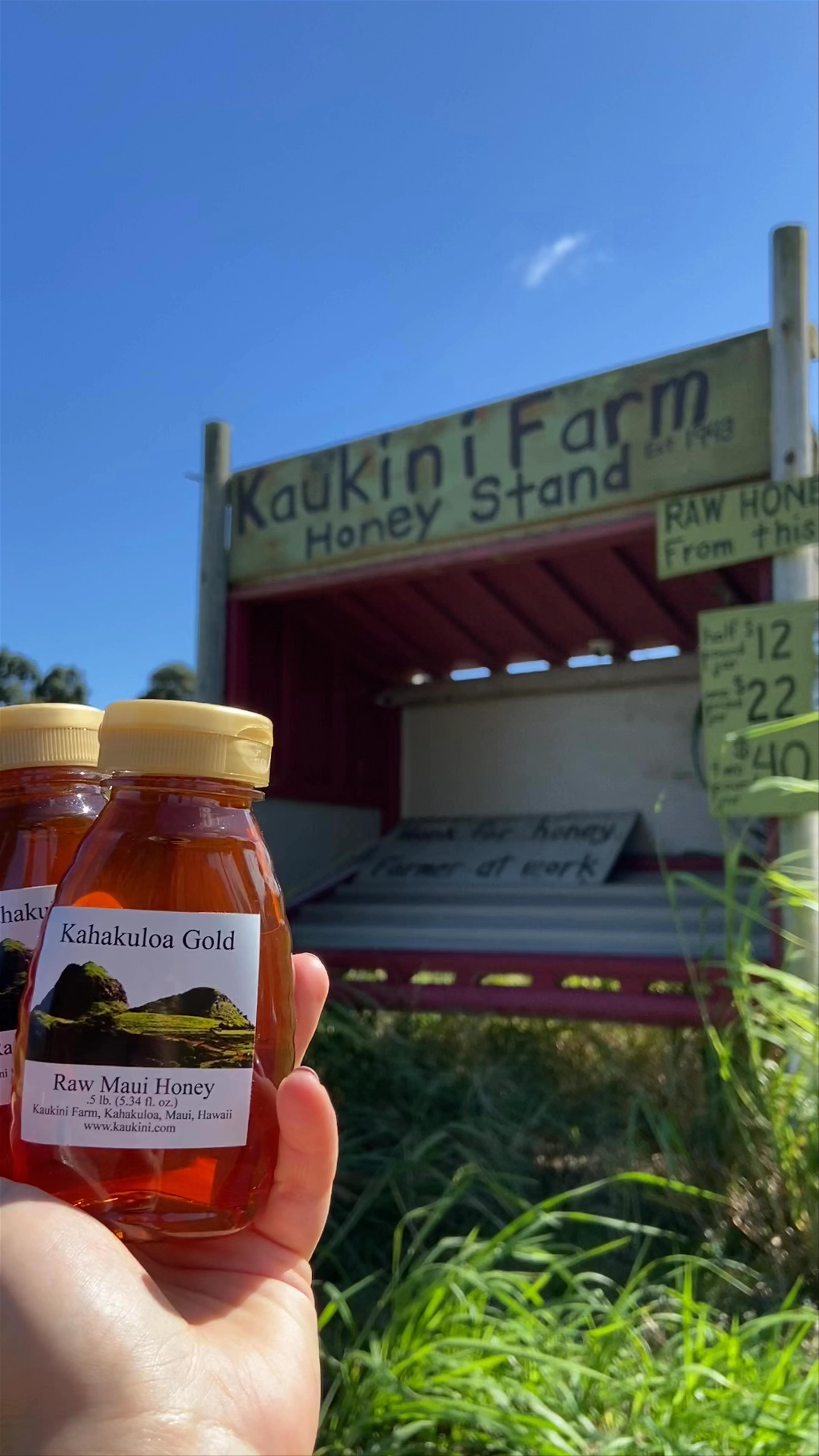 Kaukini Farm, Kahekili Highway, Wailuku, HI, USA