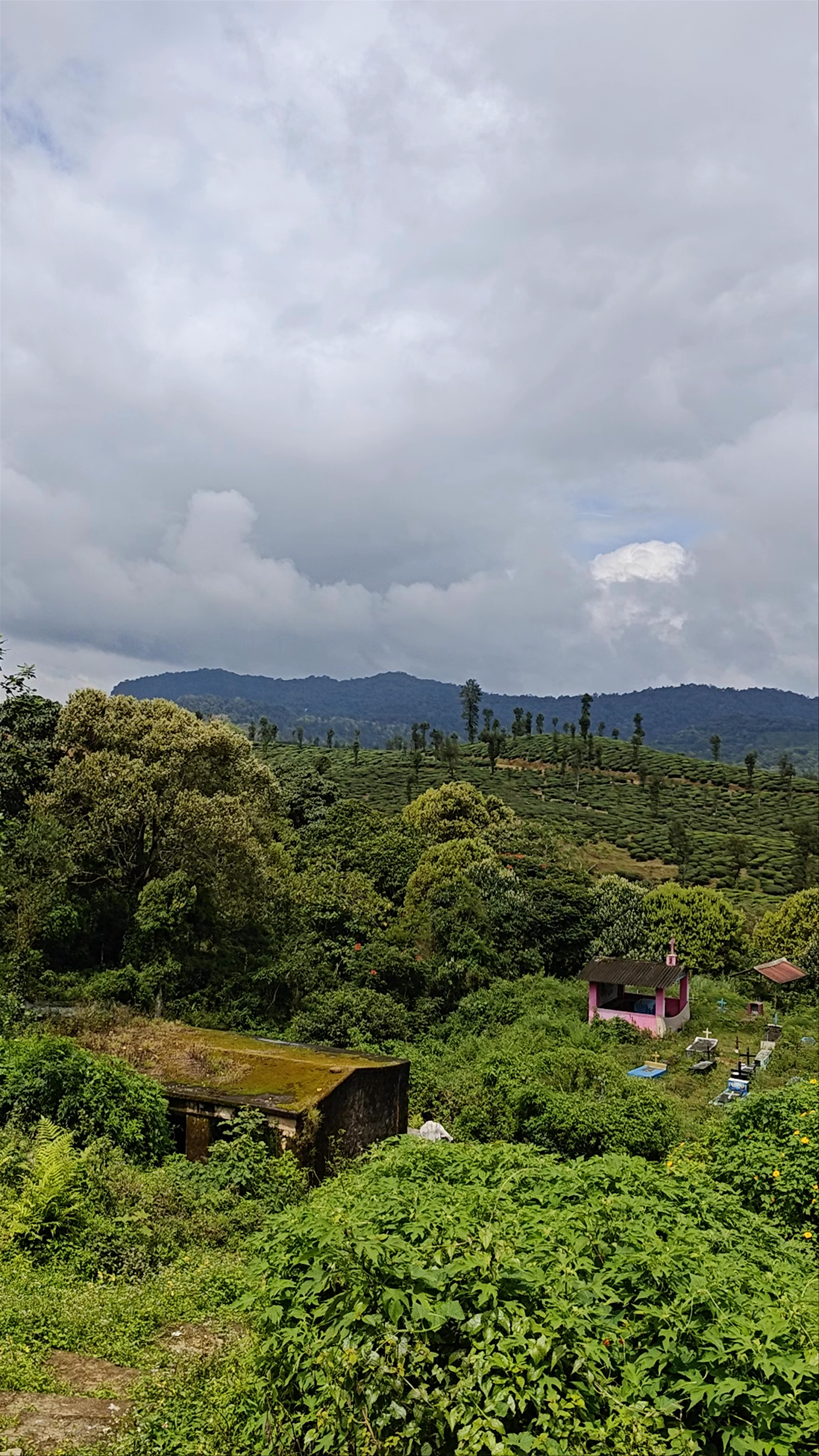 Valparai