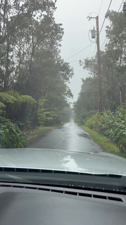 Hale Ho'ola Spa Volcano - The drive on Seventh St in a rain forest as it drizzled rain was setting the tone for the magical experience - Day Spas Near Me - Volcano, Hawaii