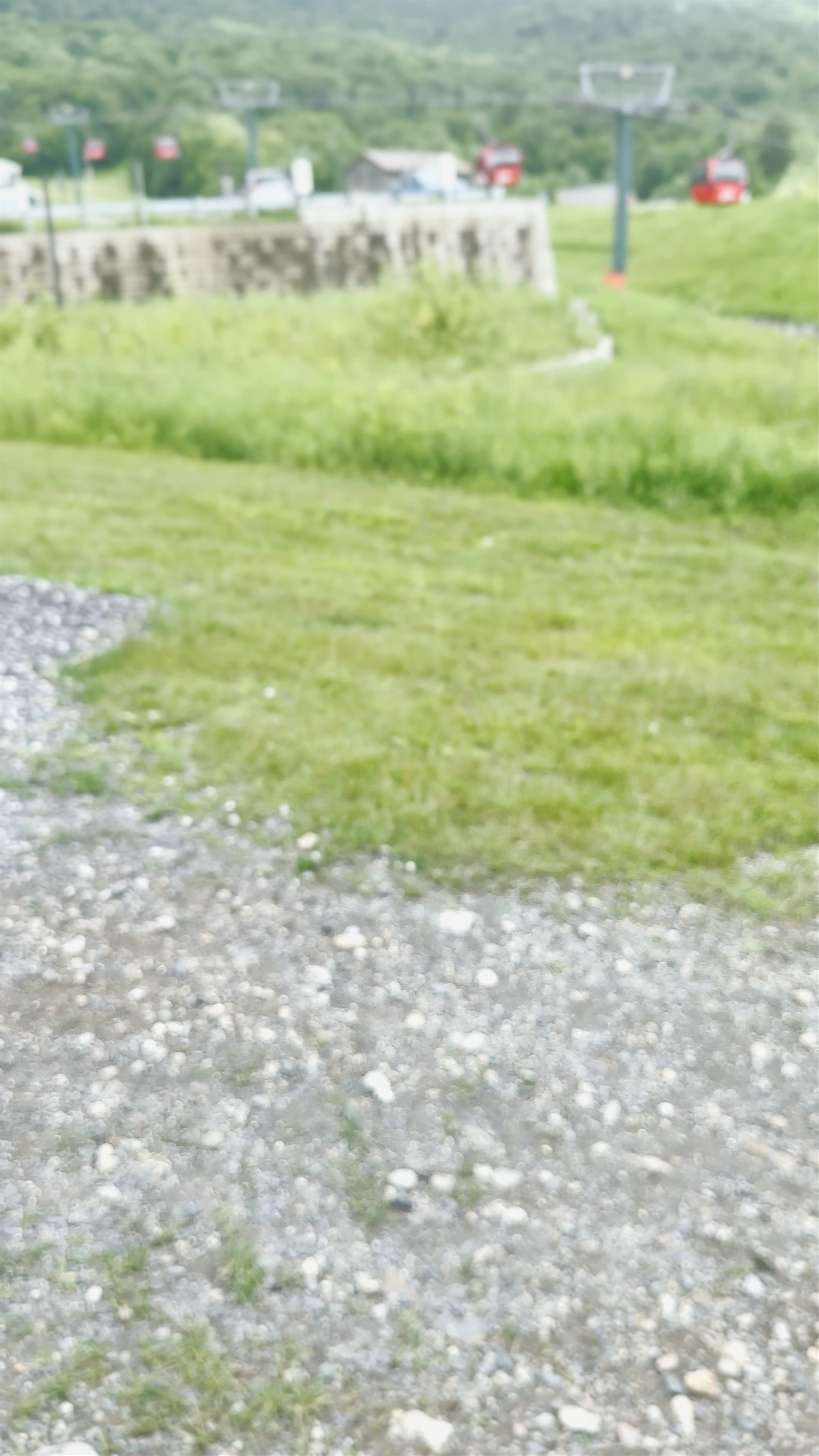 Stowe Mountain Resort