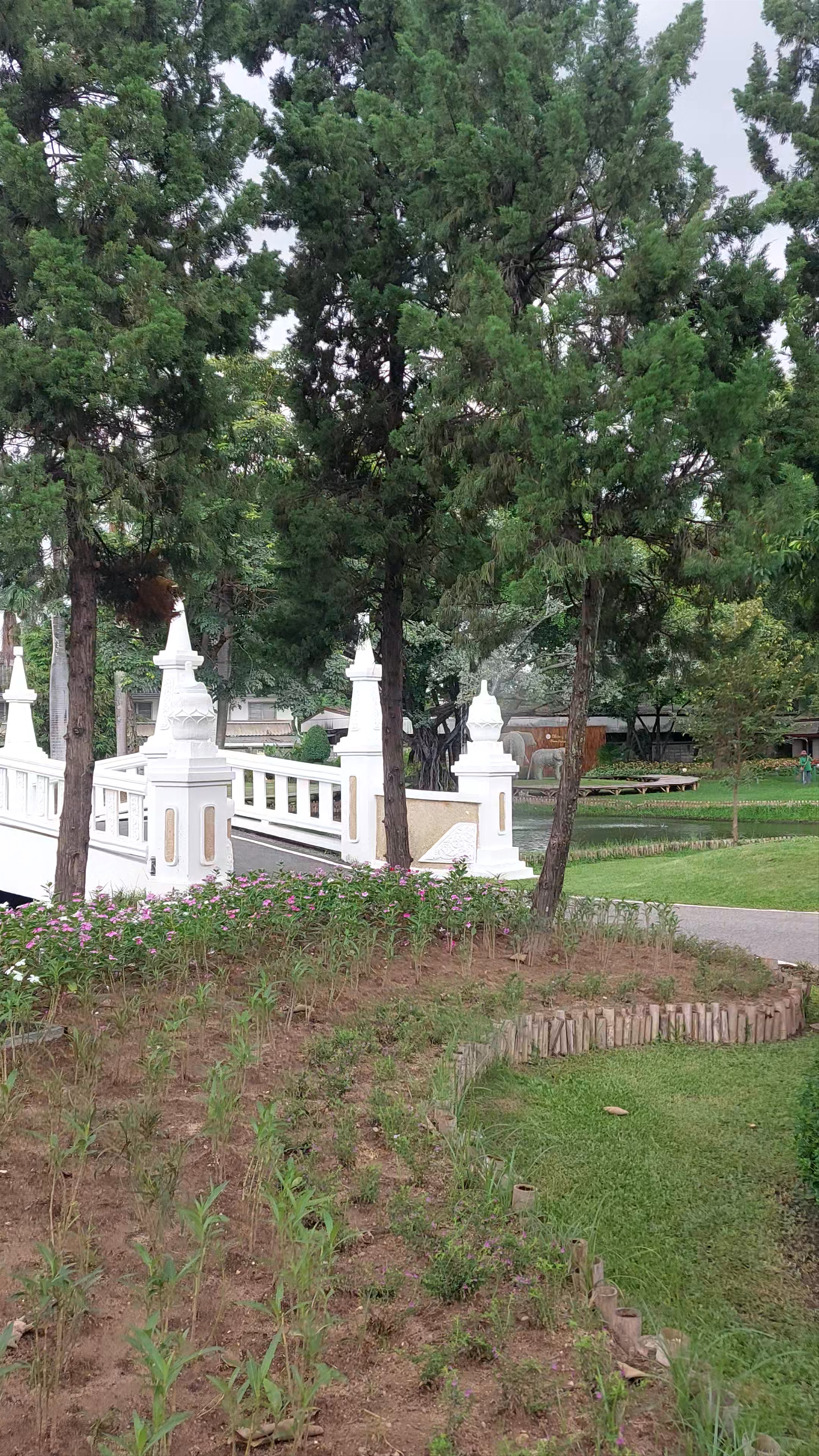 Buak Hard Public Park: Serene Urban Oasis in Chiang Mai
