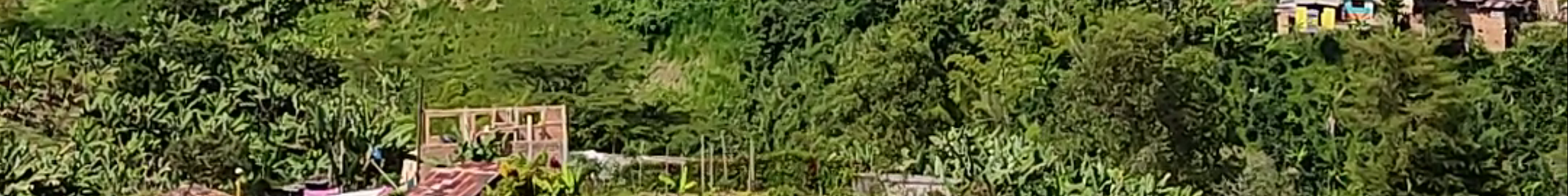 Tours & experiences in Jardín