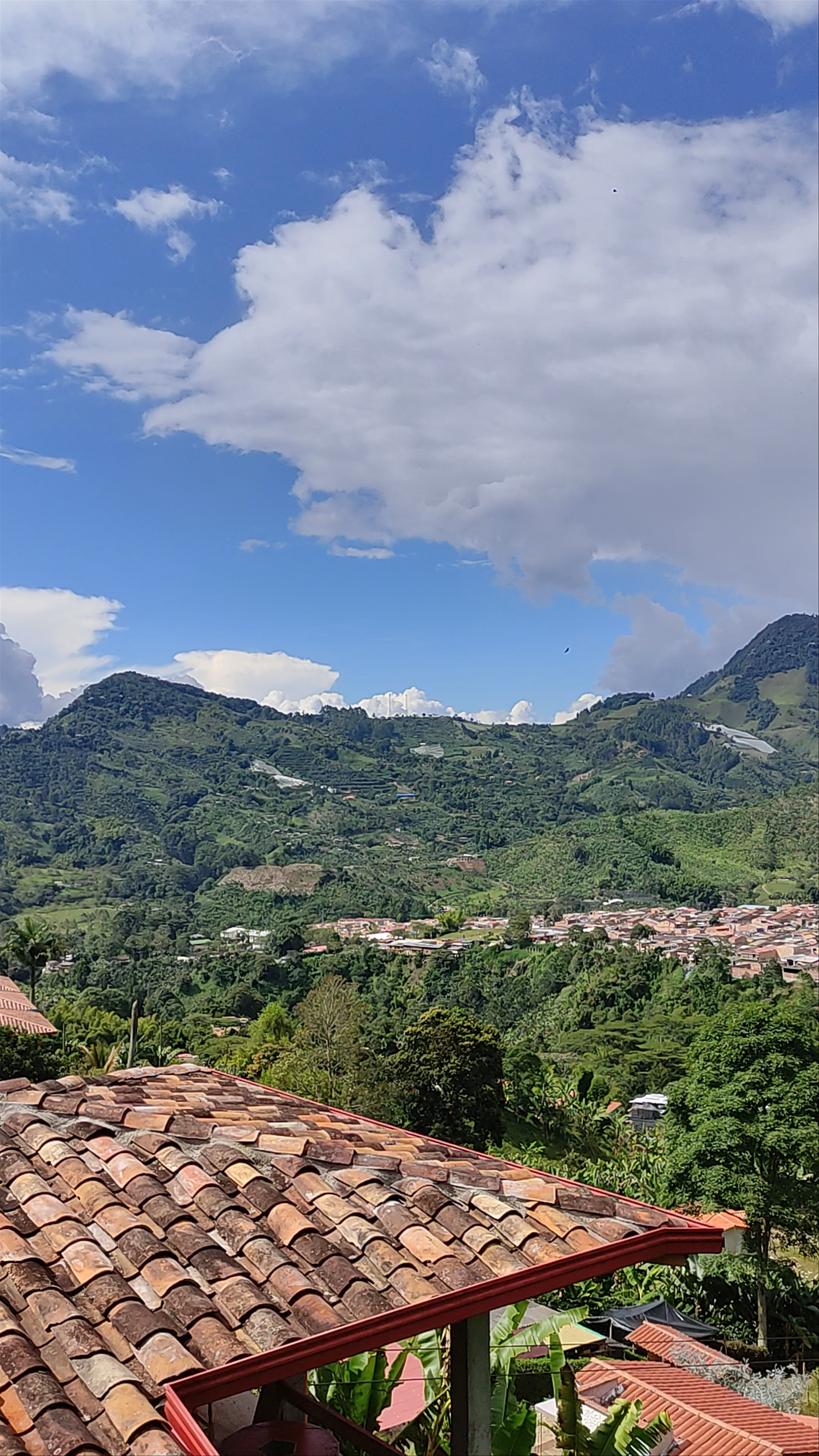 Estadero la Garrucha