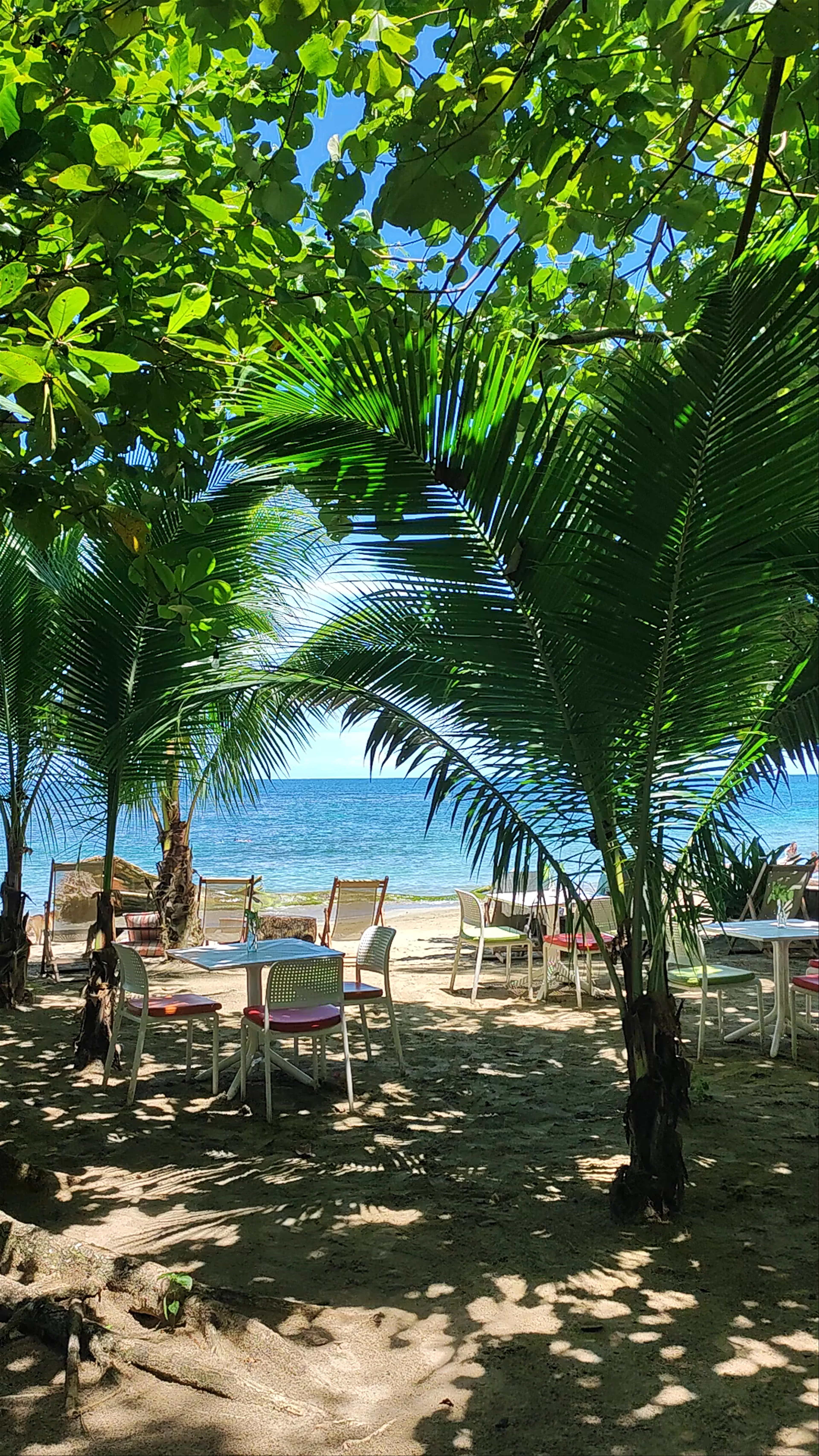 Da Lime Beach Club & Restaurant: Tropical Serenity in Punta Cocles, Costa Rica
