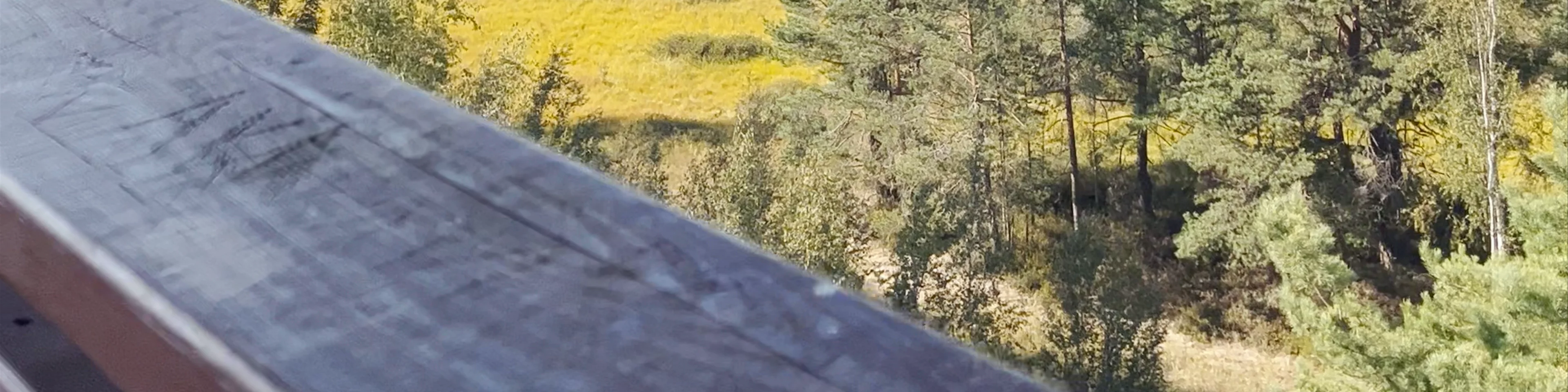 Teiču Dabas Rezervāts