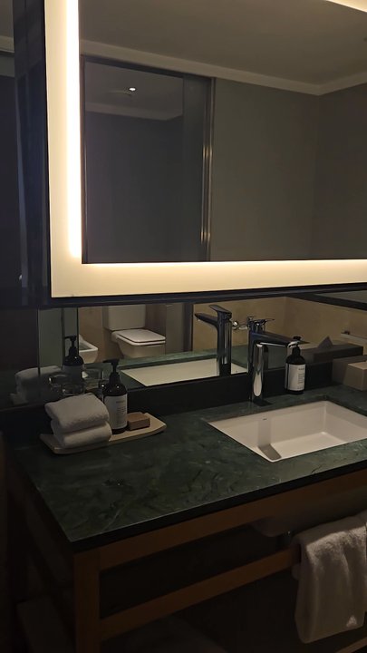 Hilton - Bathroom overview - Hotels Near Me - Buenos Aires, C