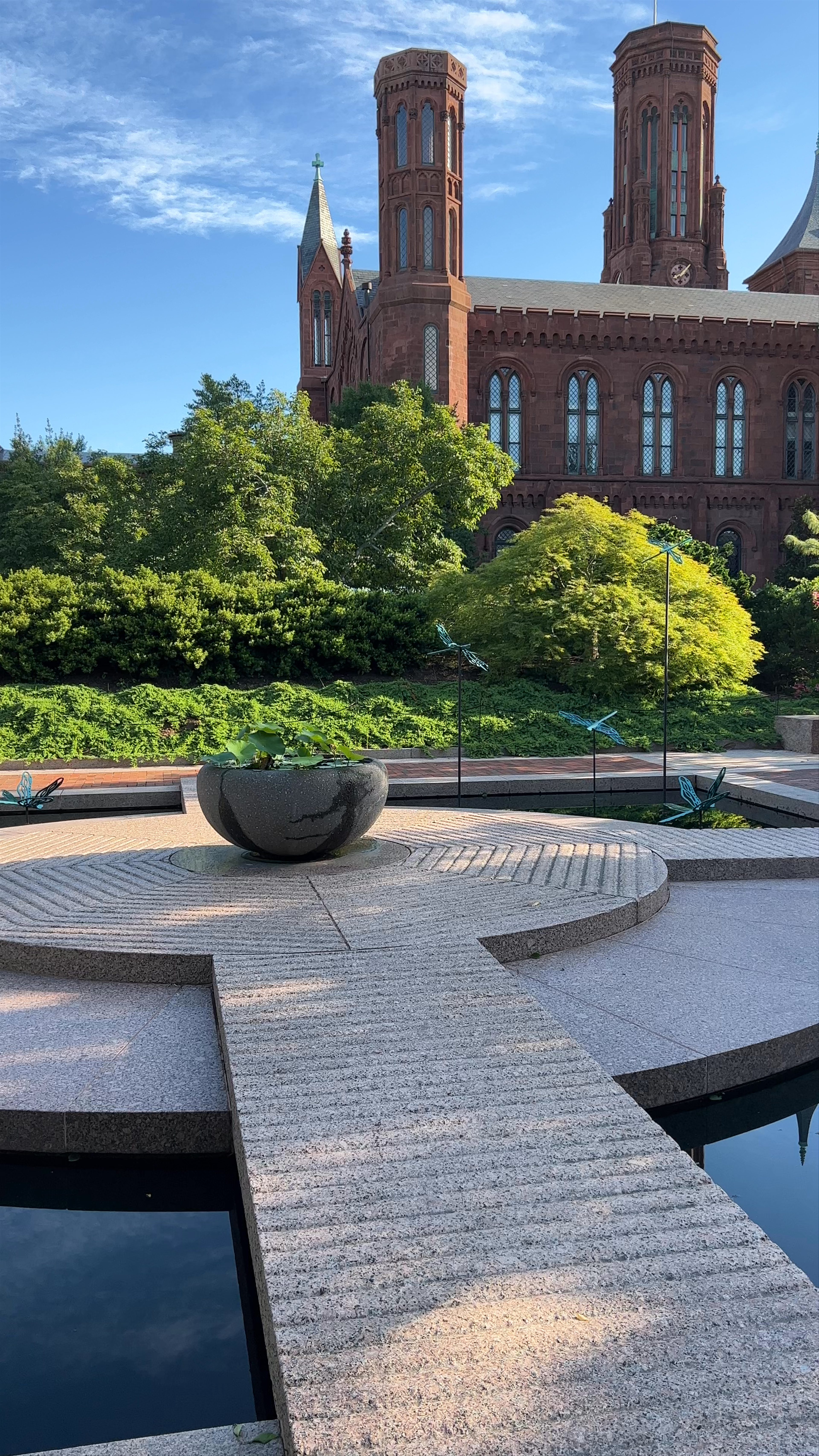 Serene Moments at Enid A. Haupt Garden in Washington, DC