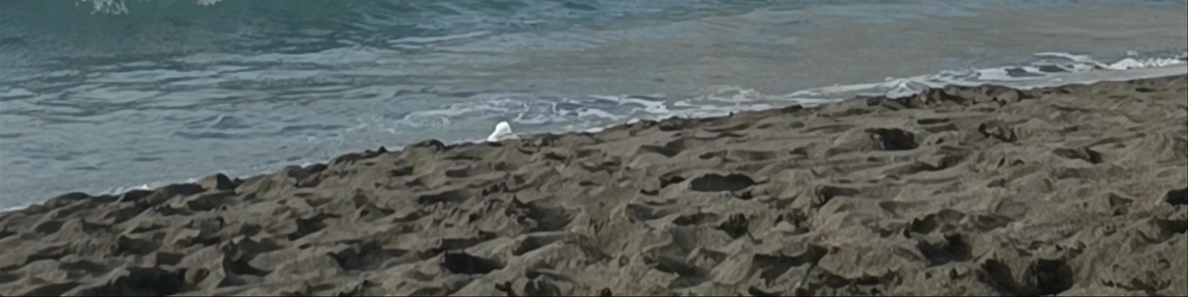 Playa de los Gigantes