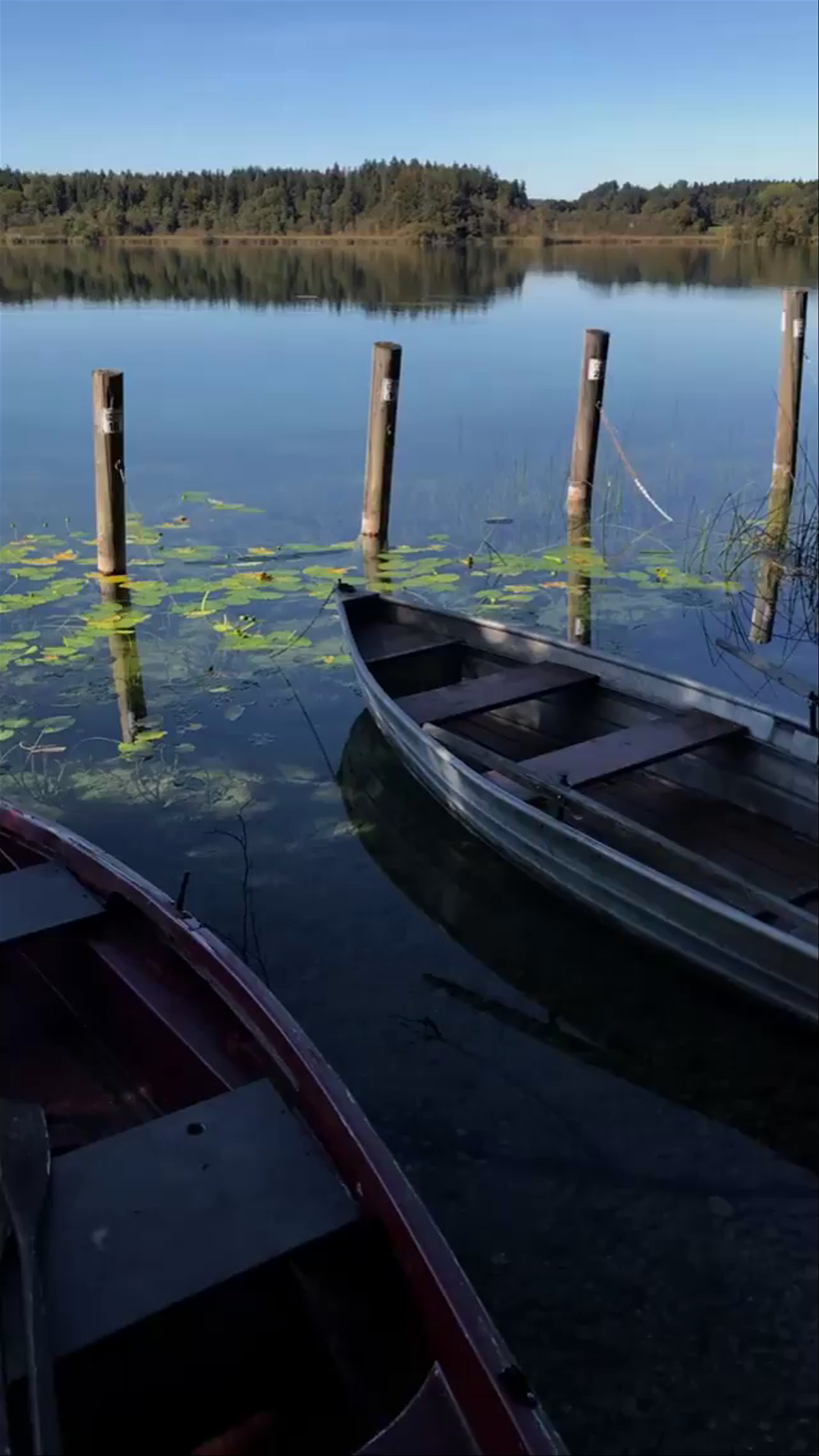 Tranquil Lake Escape at Frasdorfer Hütte, Berlin