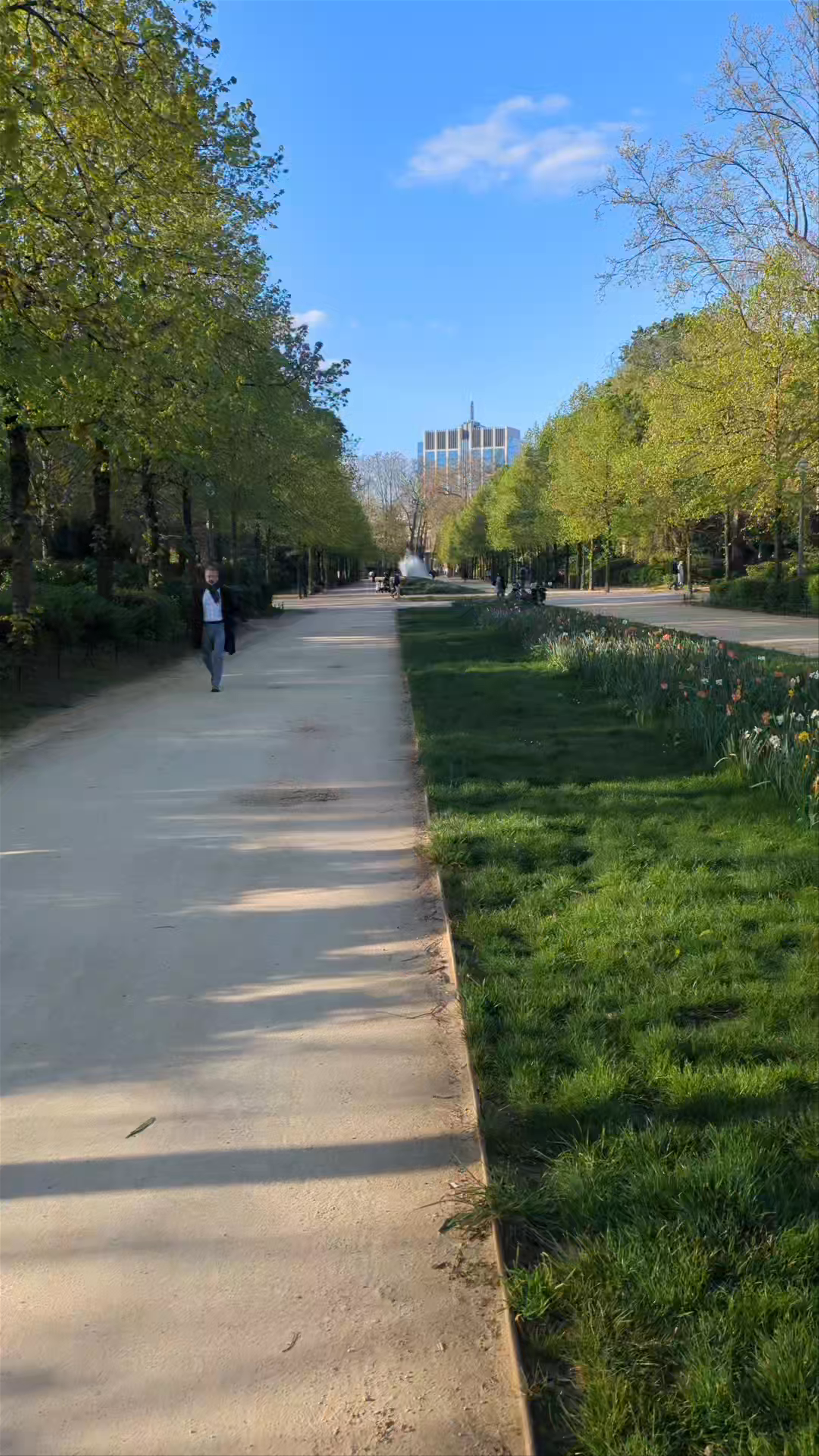 Parc de Bruxelles