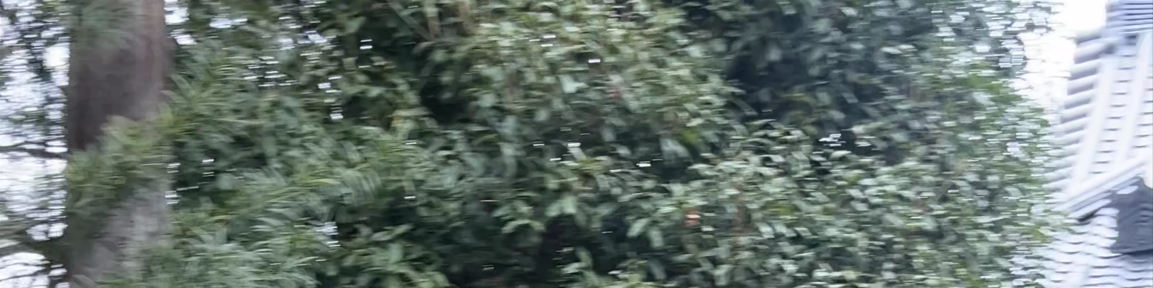 Shofuku-den