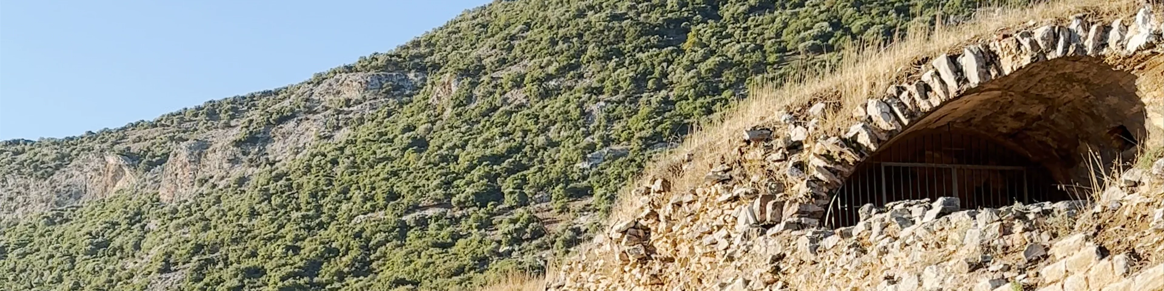 Atatürk