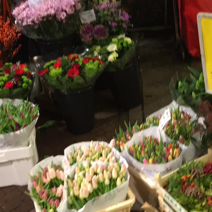 ヂェラード　ネスワドバ作　花市場 AMSTERDAM FLOWER MARKET - Updated June 2026 - 107 Photos & 16