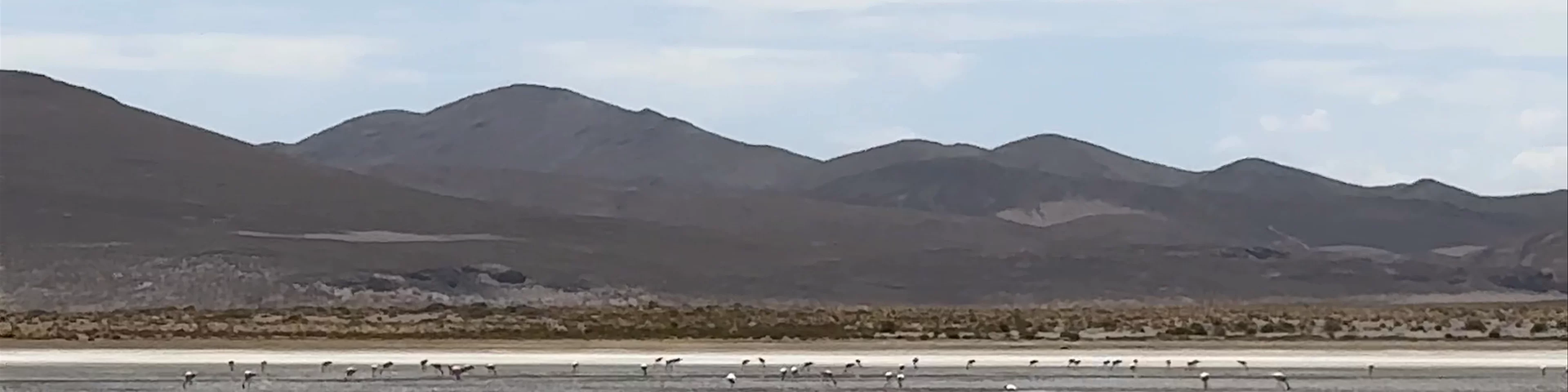 Cañapa Lake