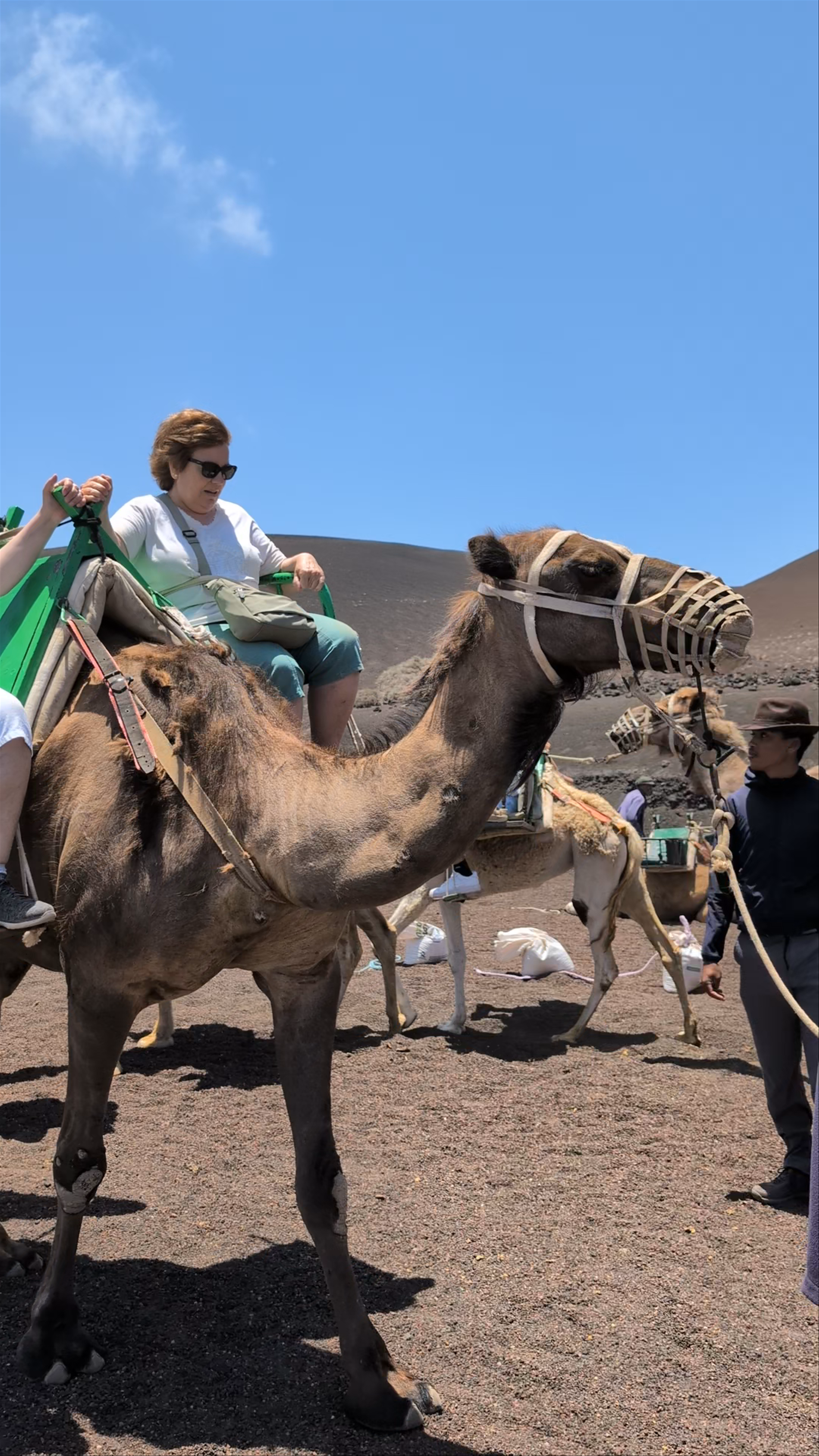 Echadero de Los Camellos