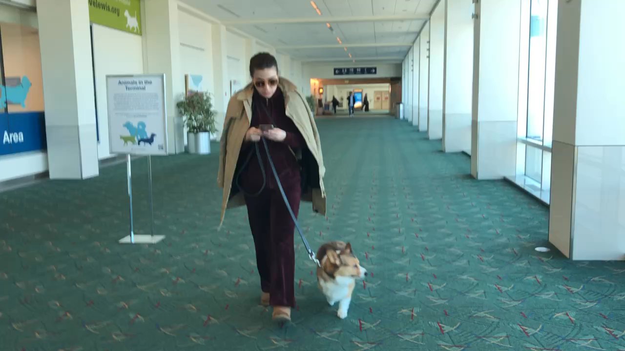 Video thumbnail 5 more videos