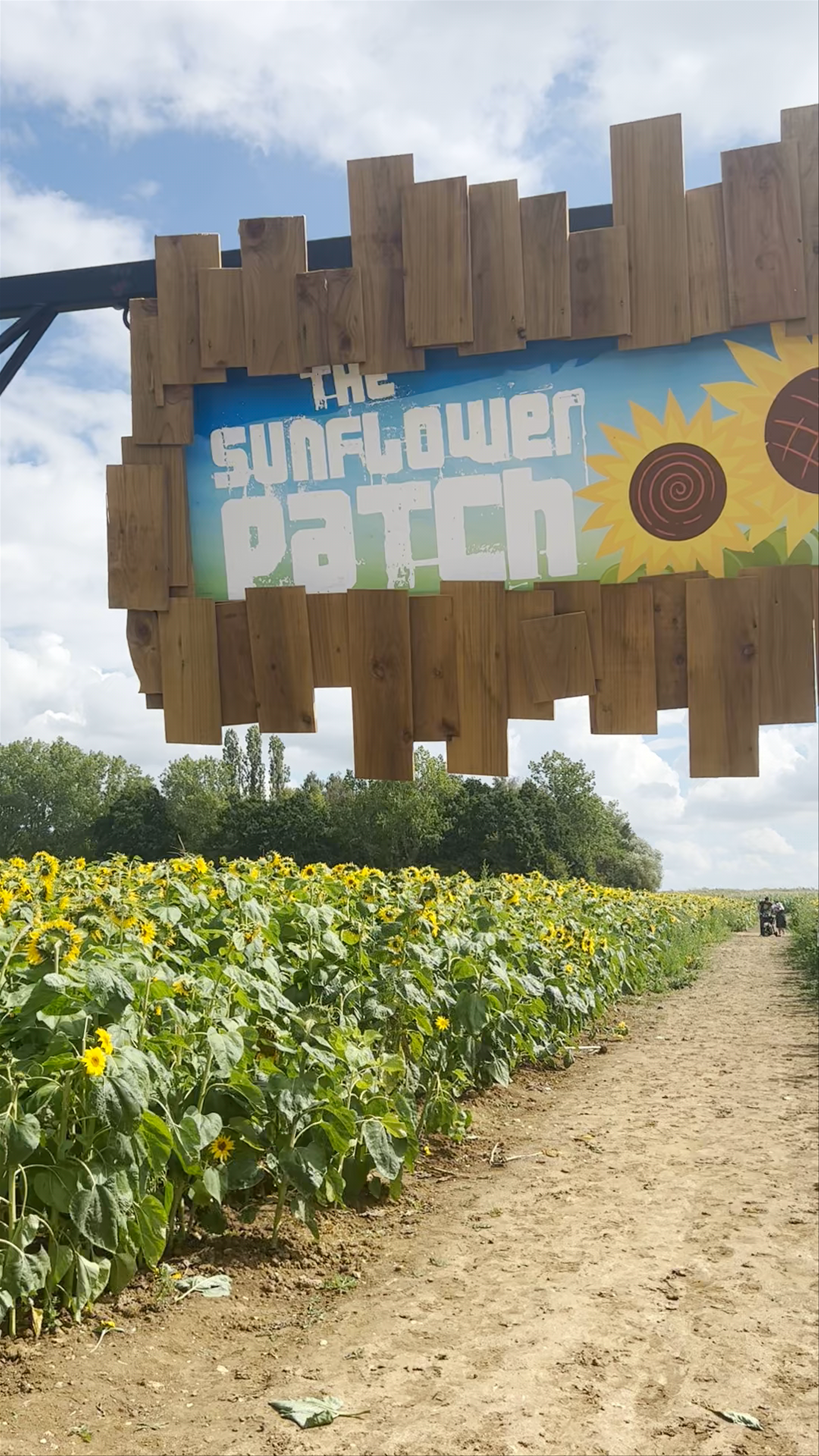Foxes Farm Produce - The Pumpkin Patch - Basildon - Essex