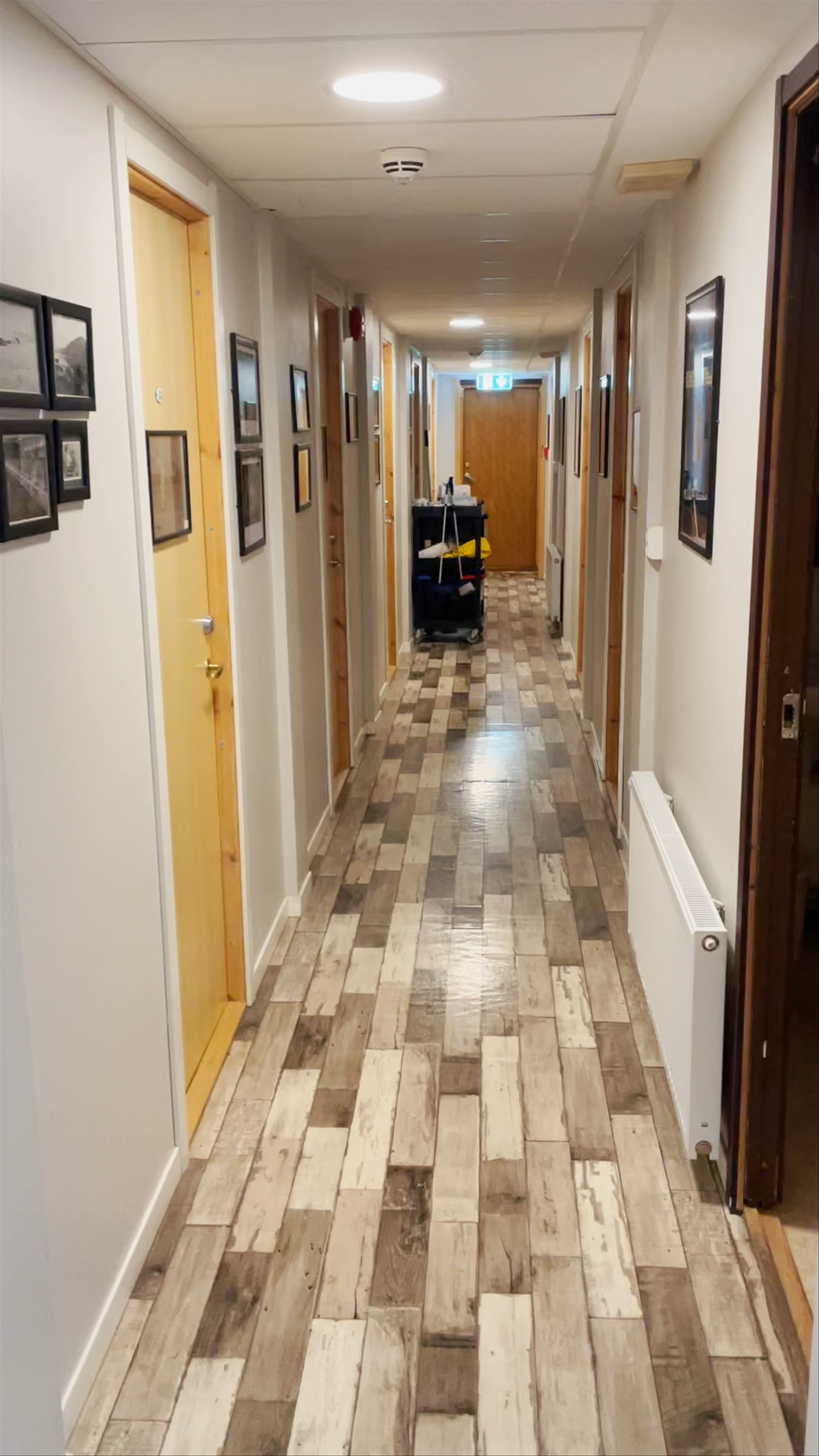 Mary-Ann's Polarrigg