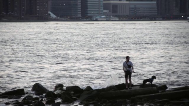 Man Walking Puppy near Water