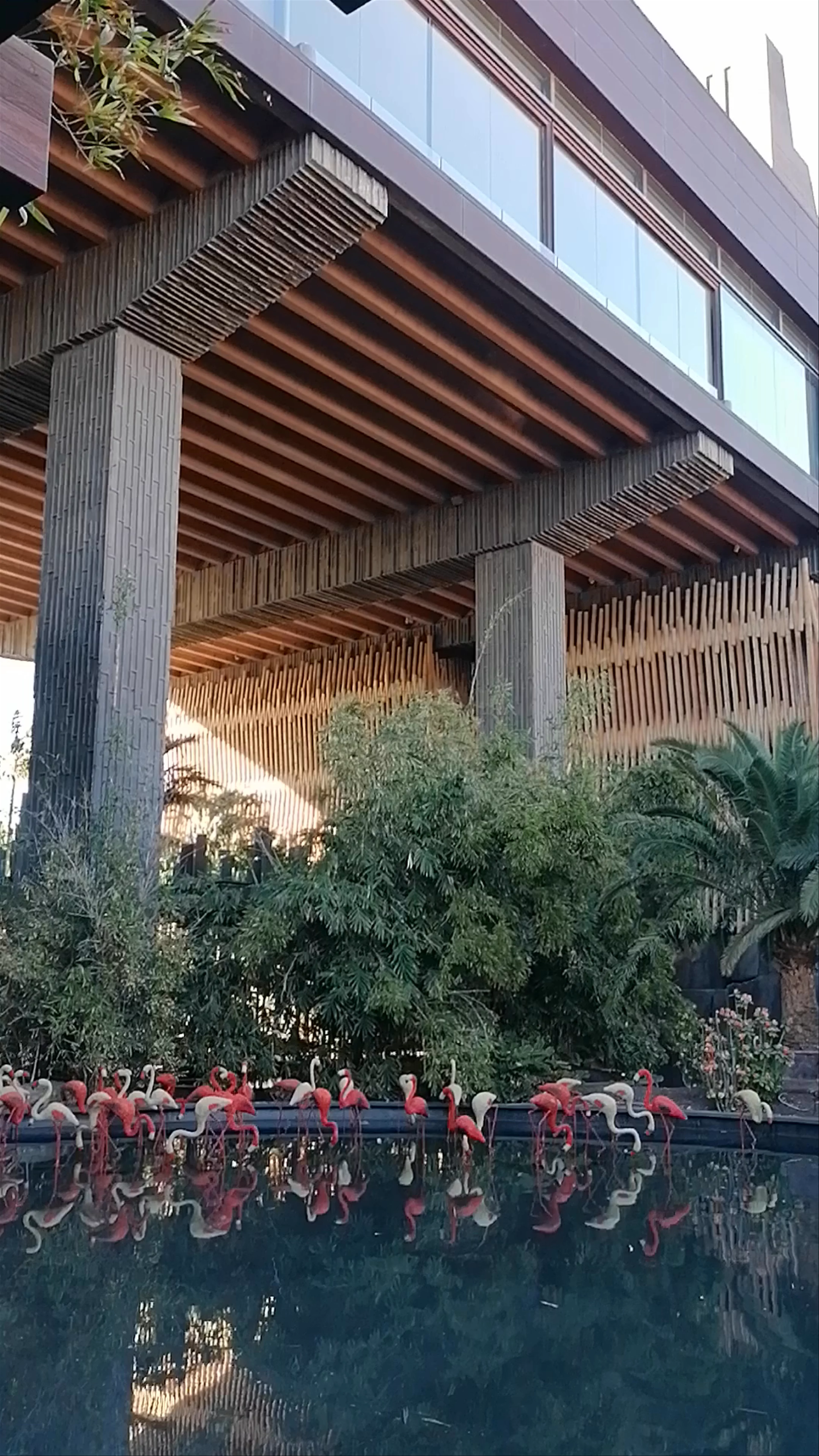 Lopesan Baobab Resort