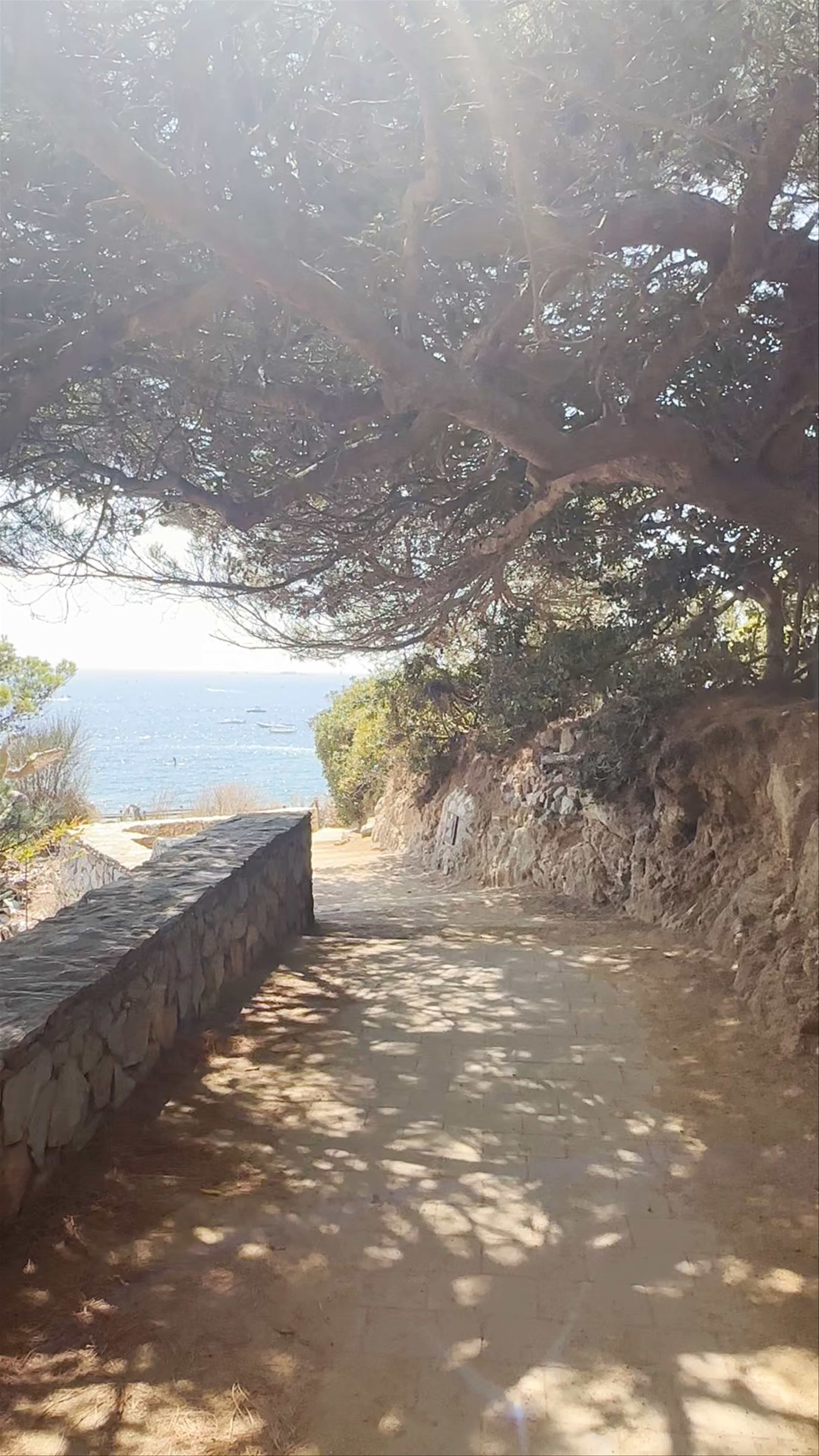 Calella de Palafrugell