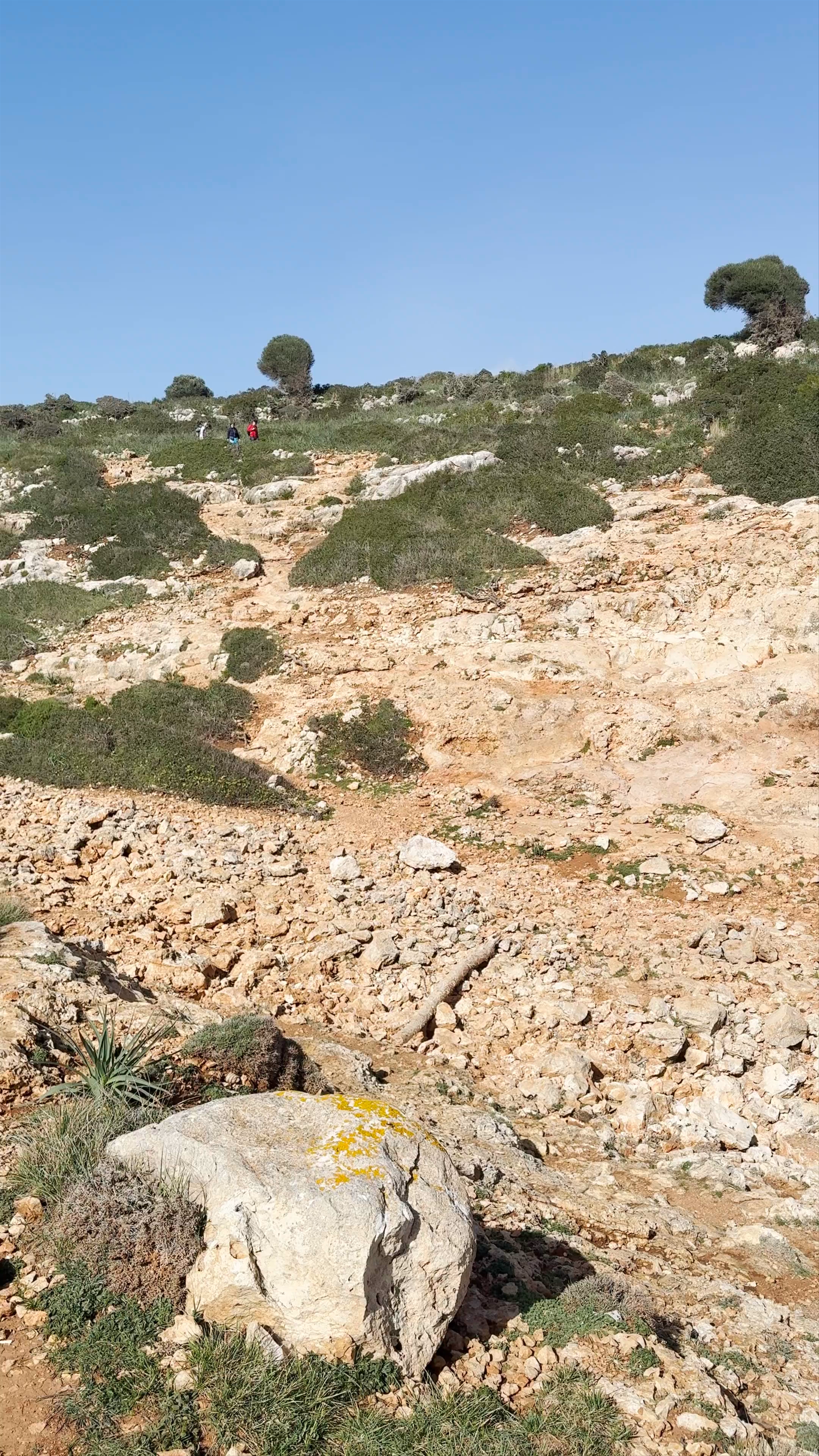 Cova Cala Falco