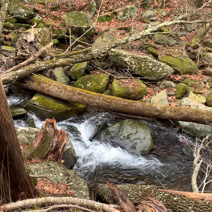Catskill Mountain - Chill Flow - Hiking Near Me - Tannersville, New York