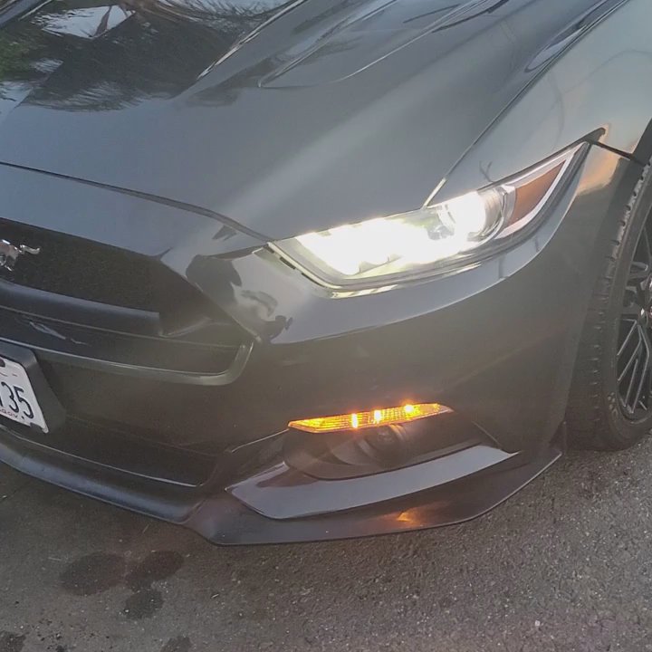 Avila's Clean Detailing - Ceramic detailing, - Auto Detailing Near Me
