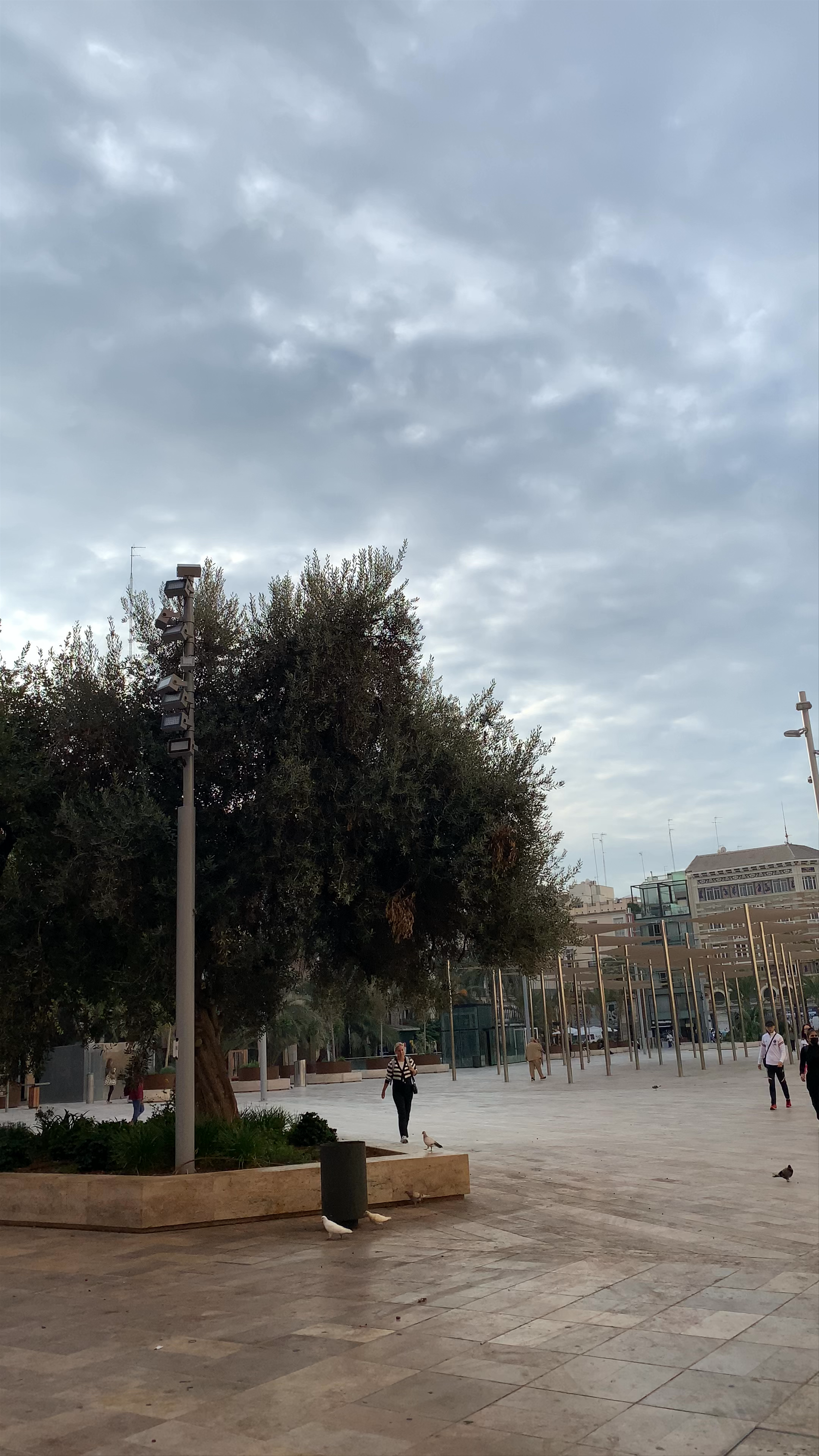 Catedral de Sevilla: Majestic Architecture in the Heart of Seville
