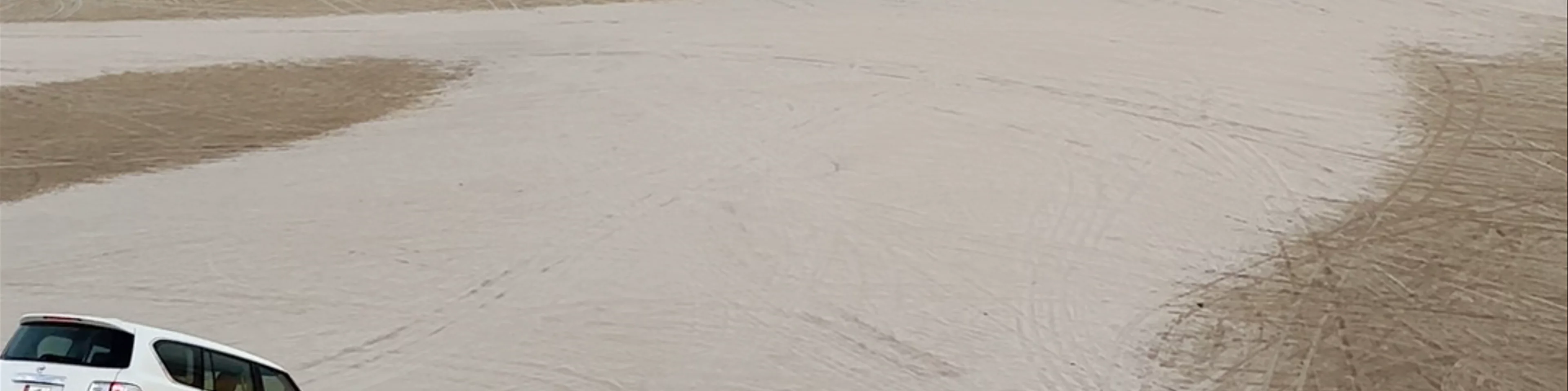 Sealine Sand Dunes