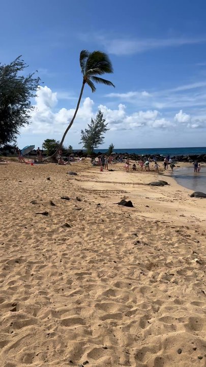 Poipu Beach - Beaches Near Me - Koloa, Hawaii