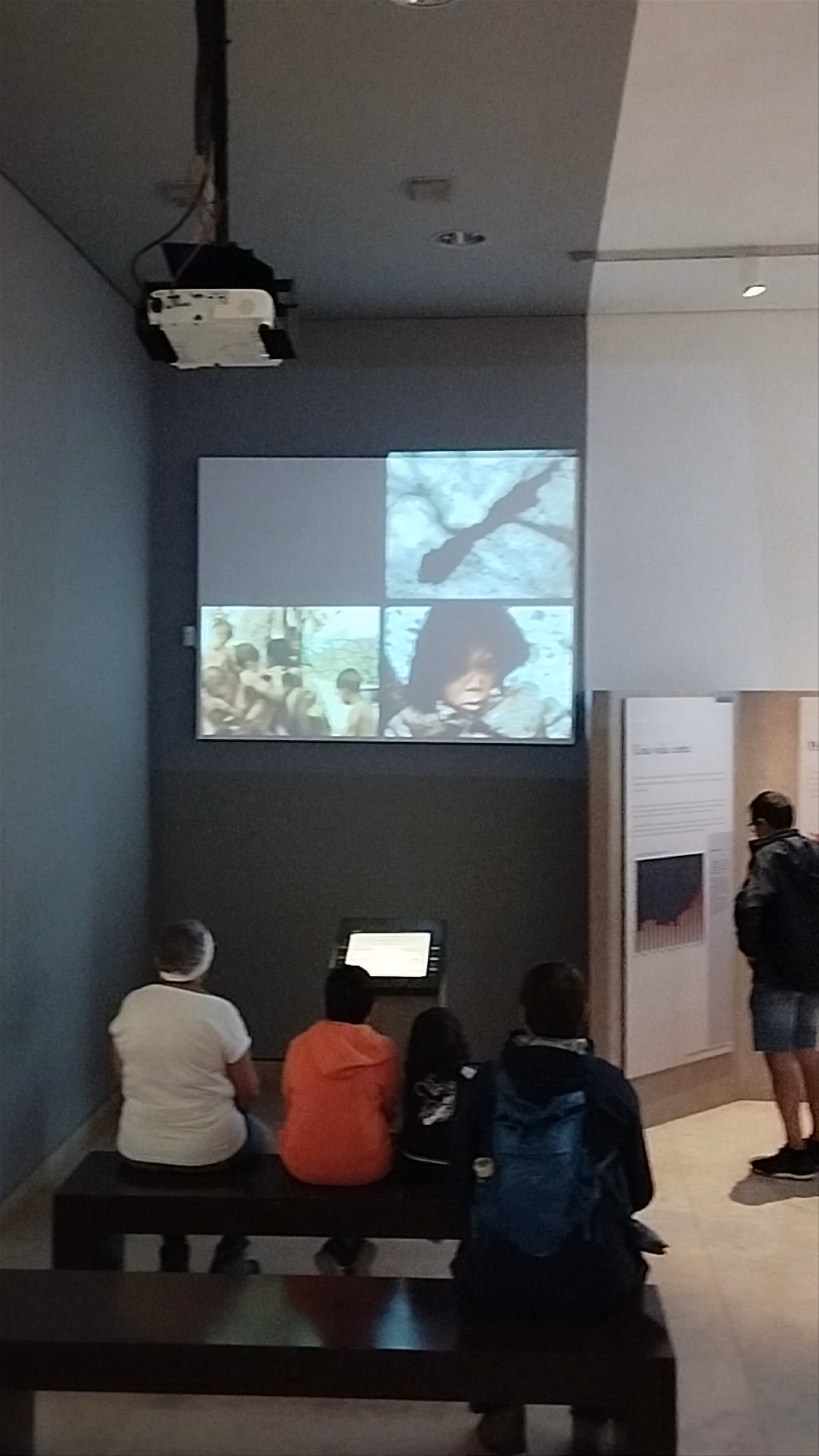 Museo Nacional y Centro de Investigación de Altamira