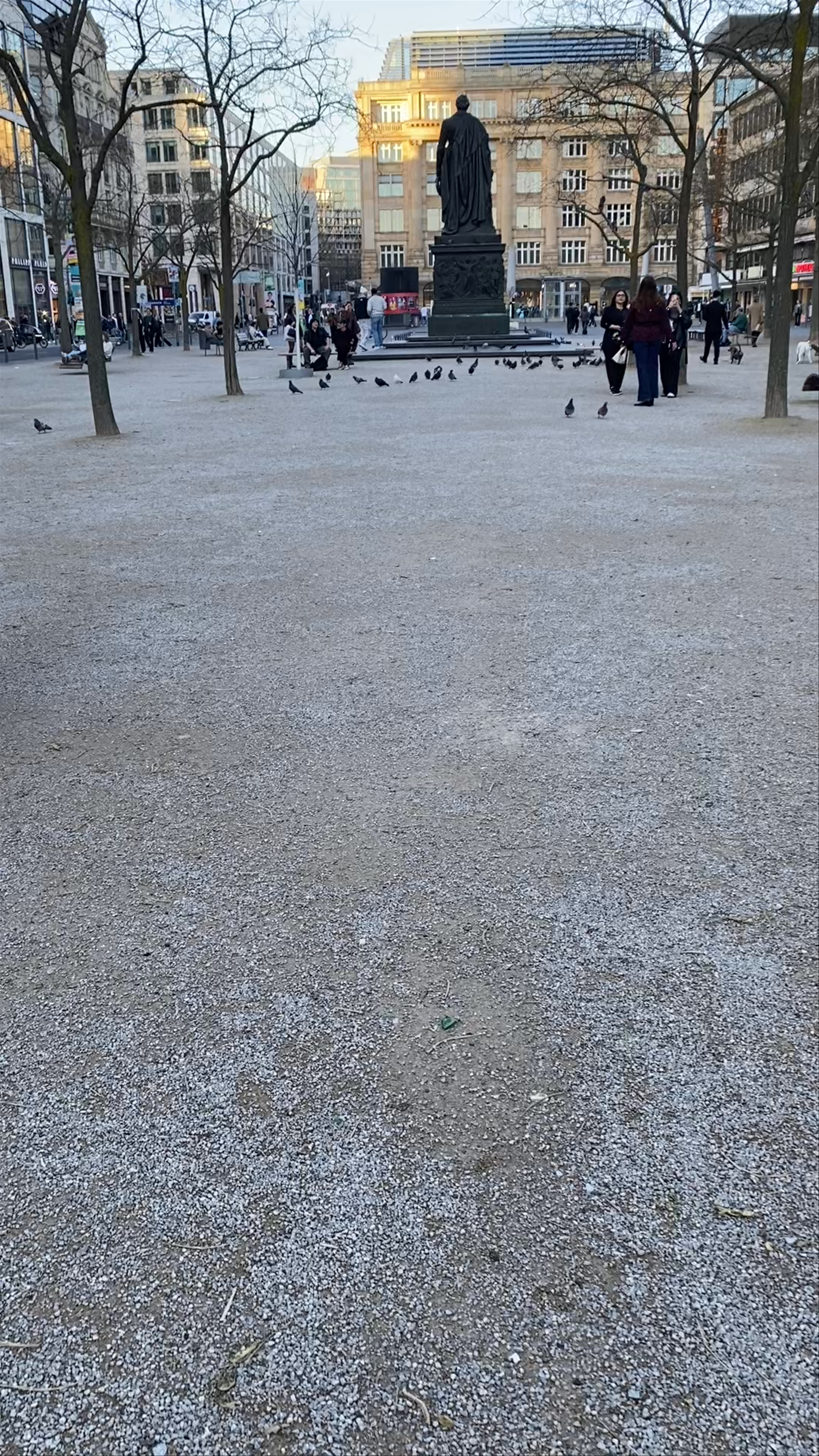 Winter Stroll at Goetheplatz, Frankfurt am Main