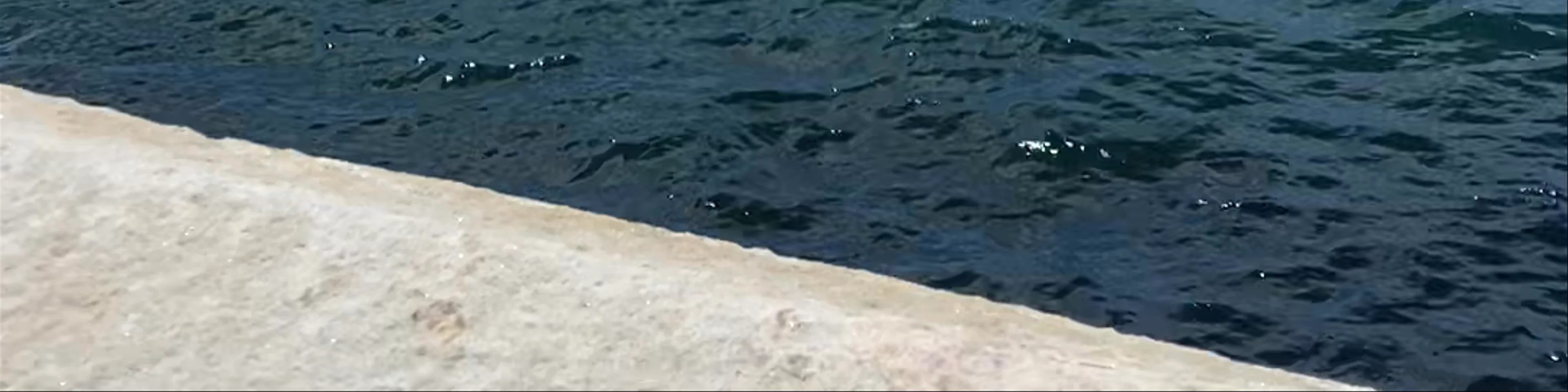 Sydney Opera House