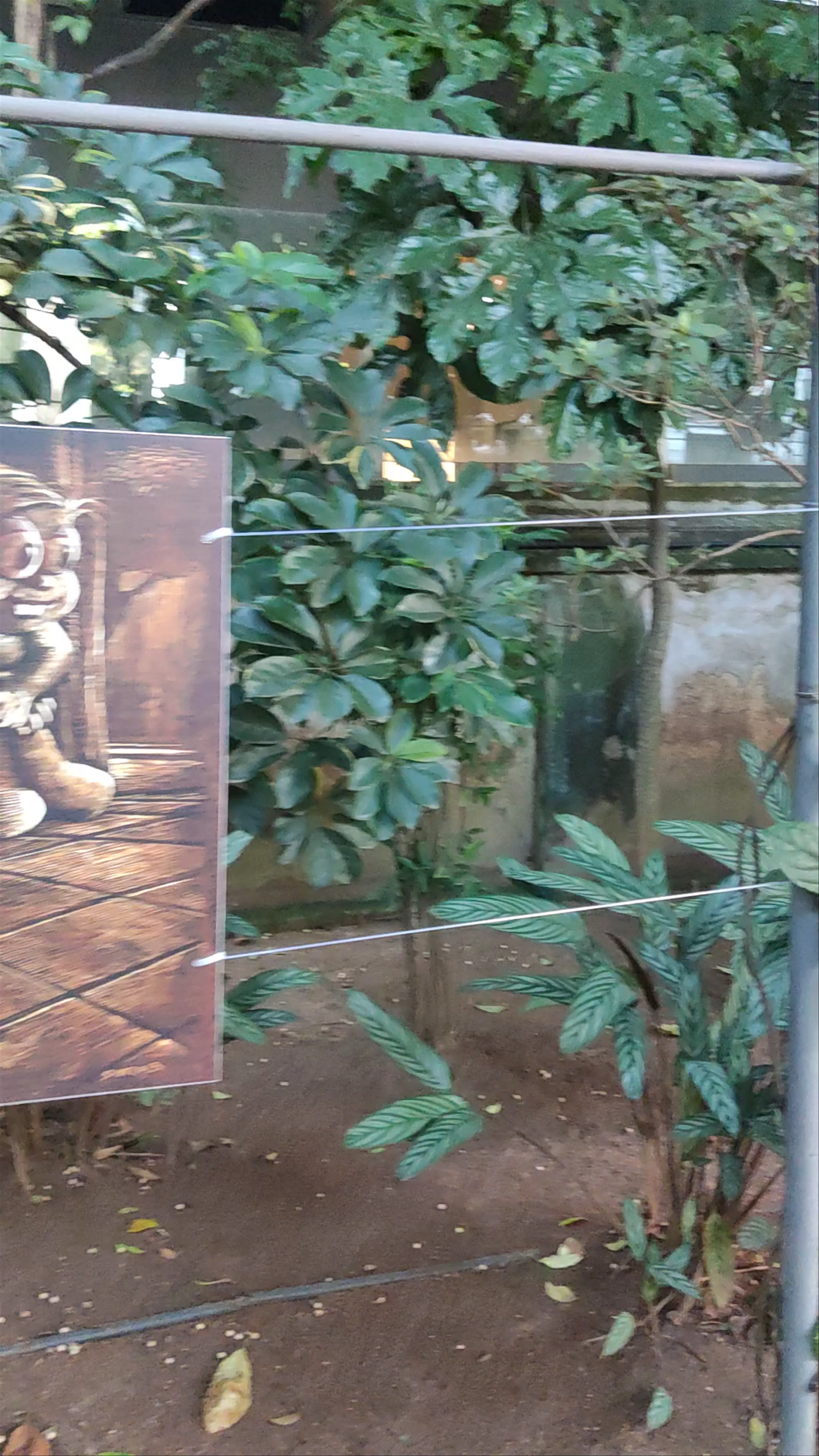 Casa das Rosas