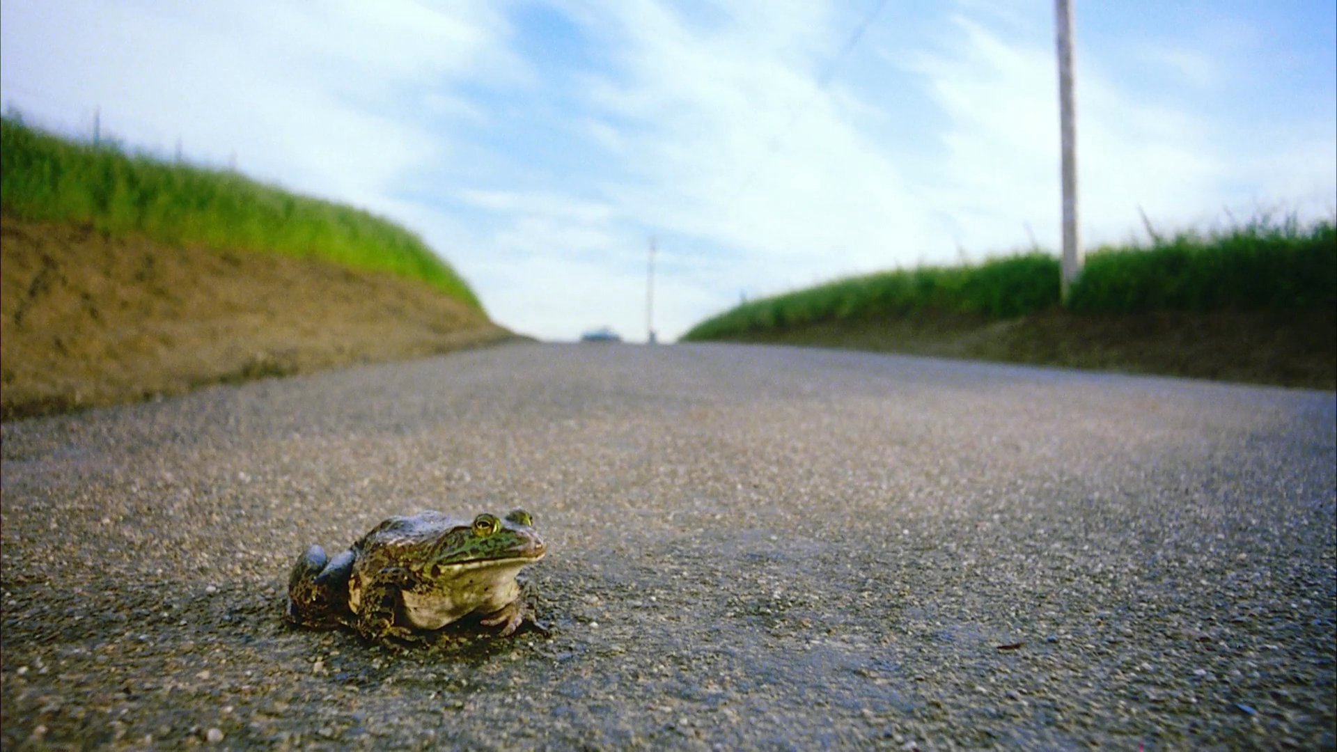 A woman drives a convertible through a scenic rural landscape while a frog sits in the middle of the road. The car narrowly avoids the amphibian, which is struck by the vehicle shortly after.
