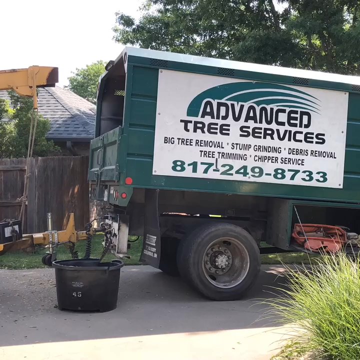 Advanced Tree Services - Tree Services Near Me - Burleson, Texas
