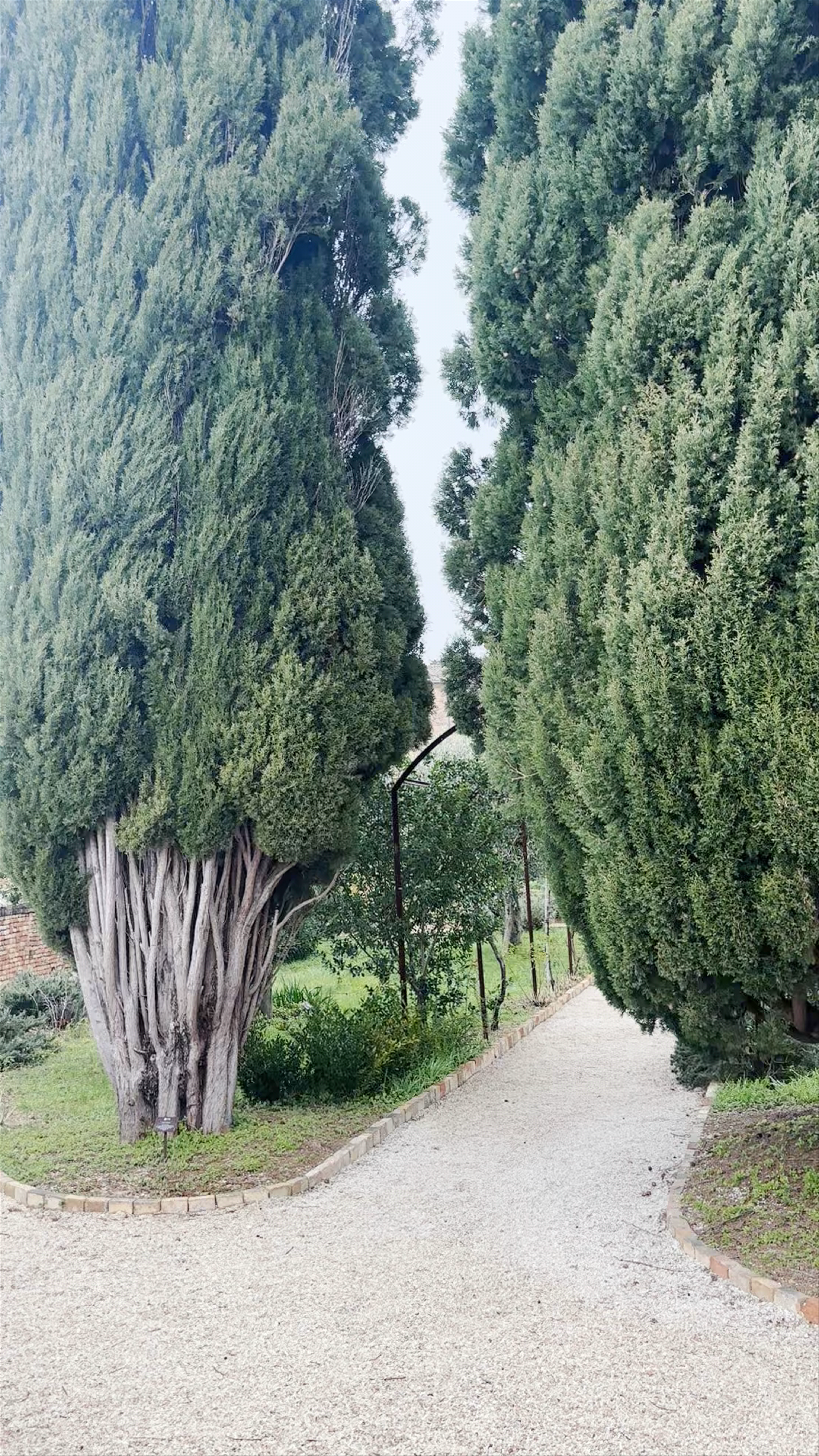 Orto sul Colle dell’Infinito