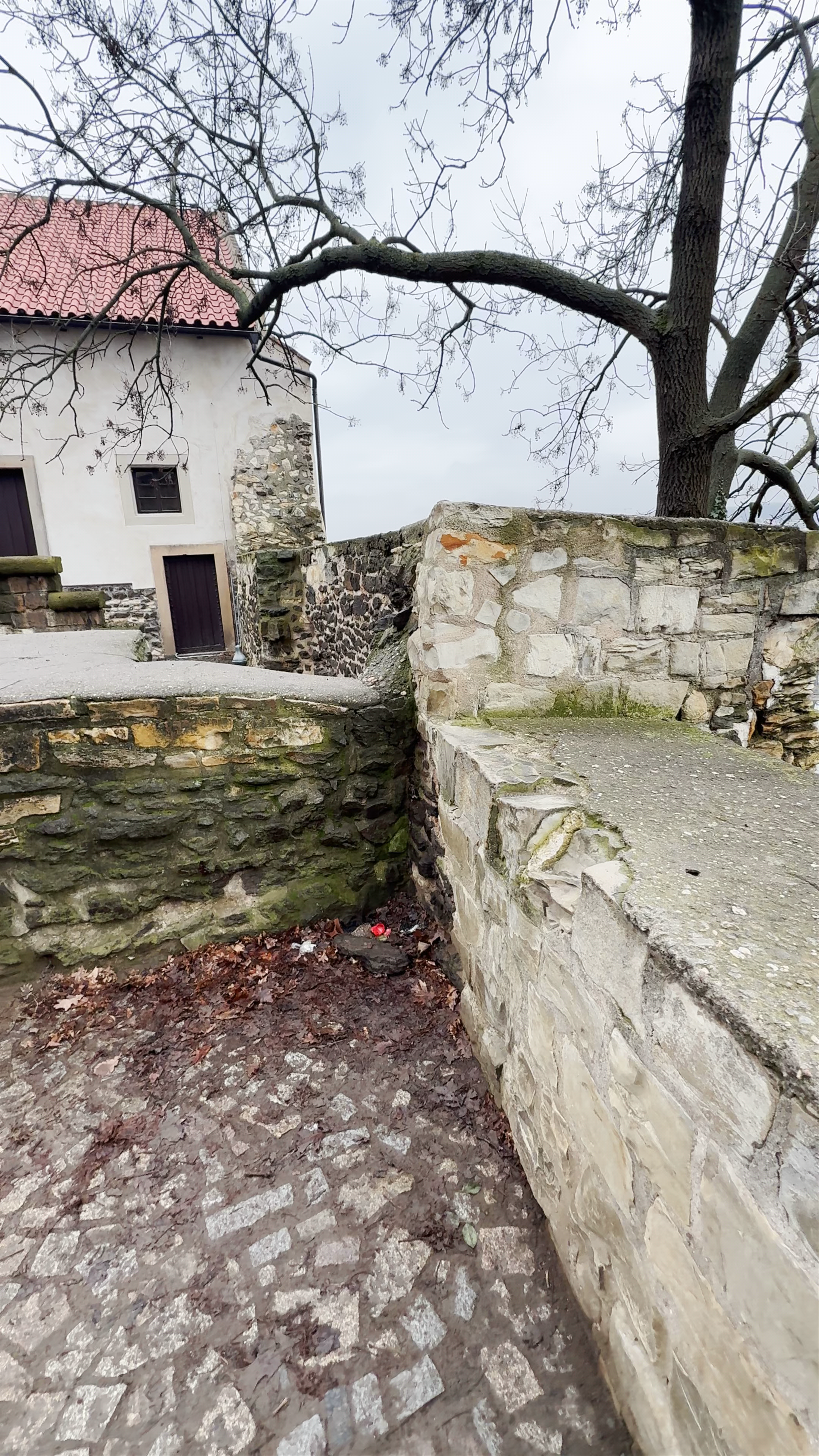Hledisko Vyšehrad