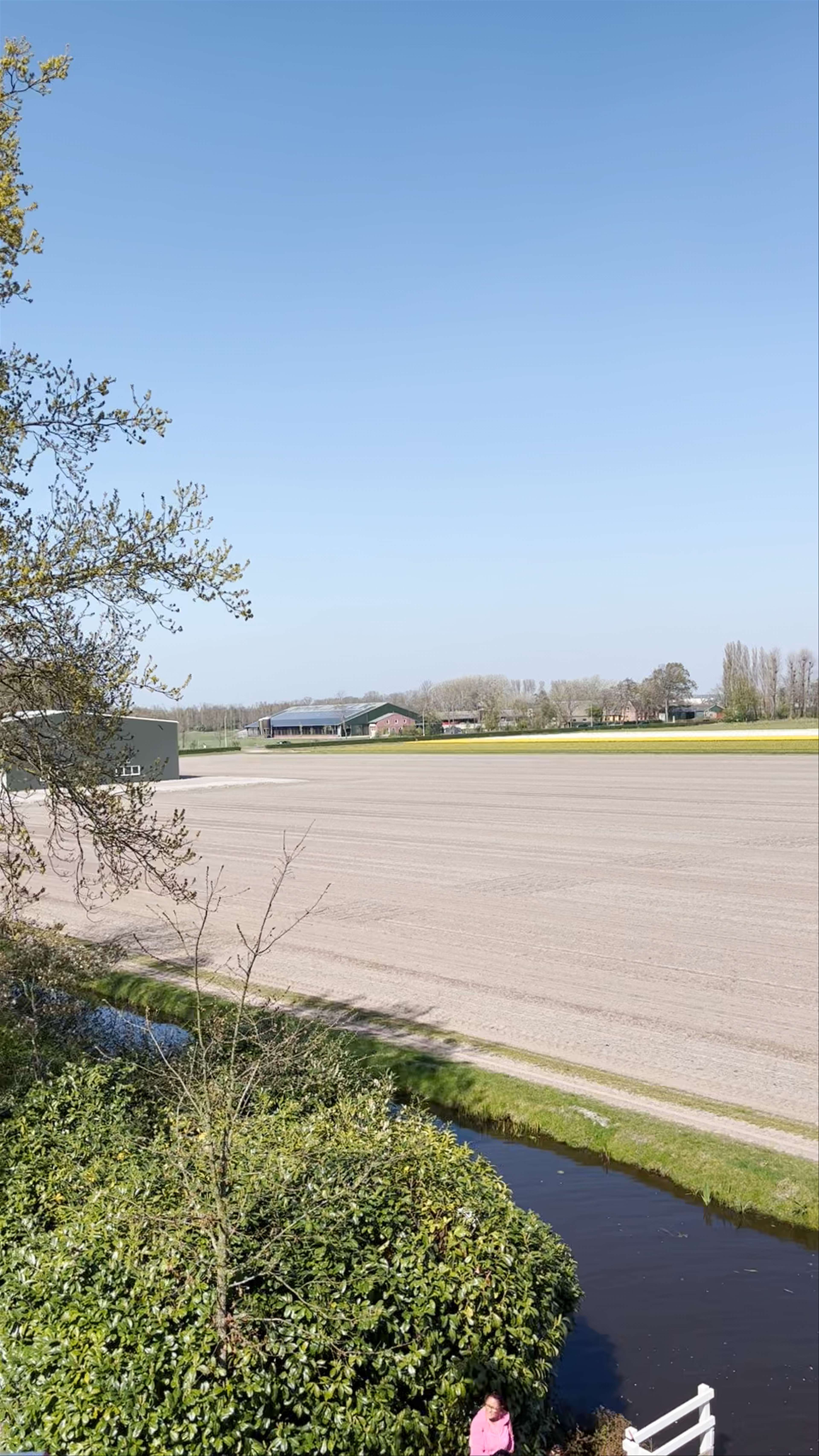 Keukenhof Windmill