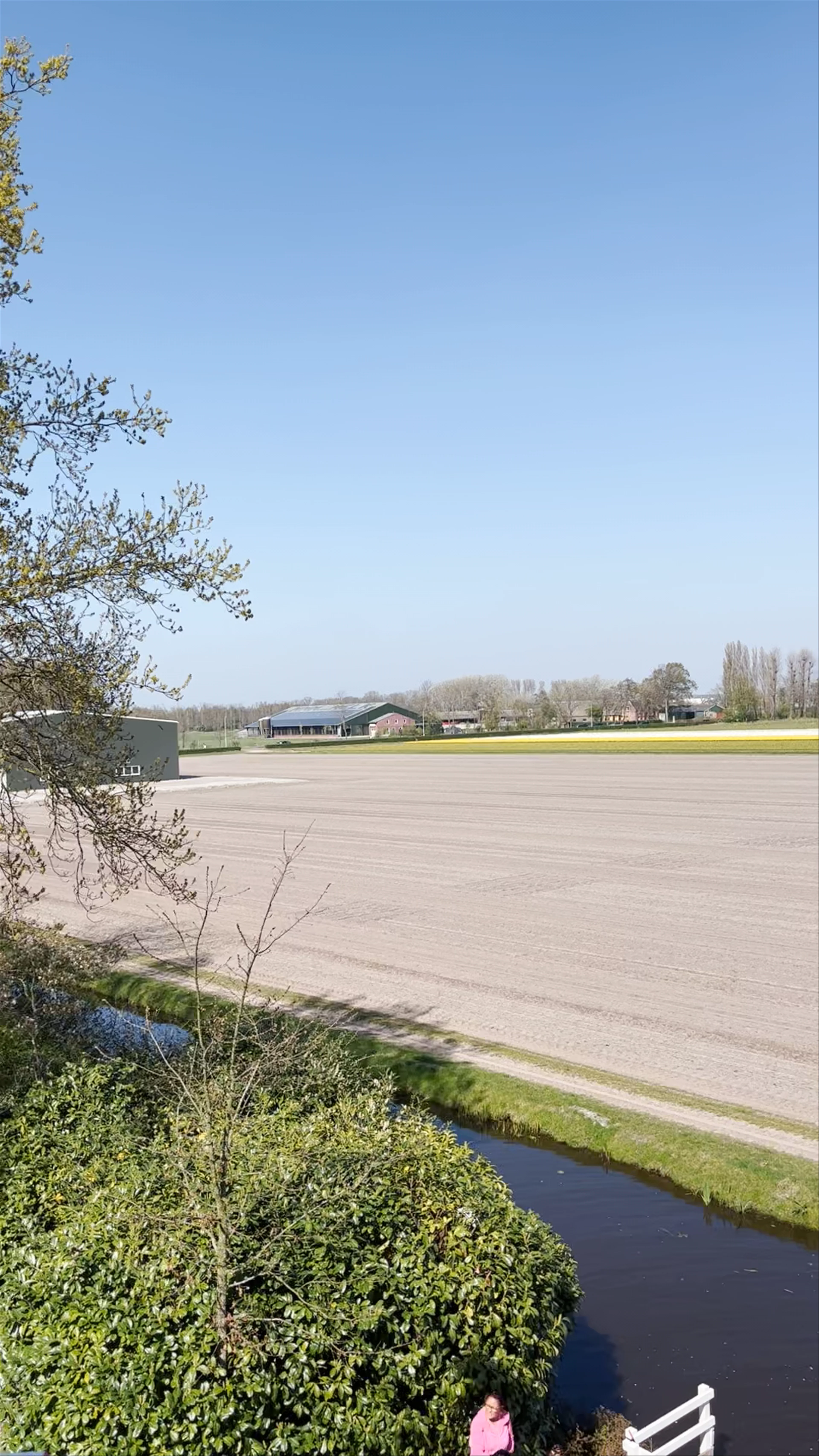 Keukenhof Windmill