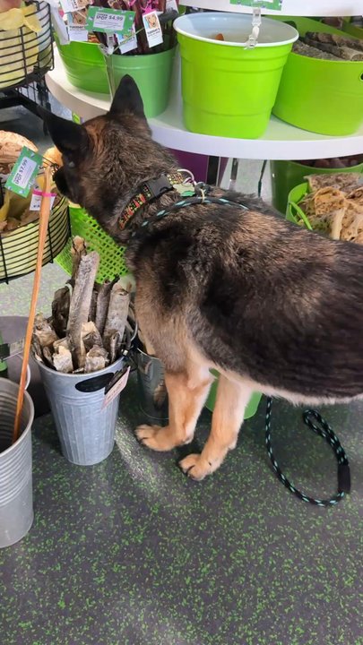 The Green Spot Omaha - Pet Stores Near Me - Omaha, Nebraska