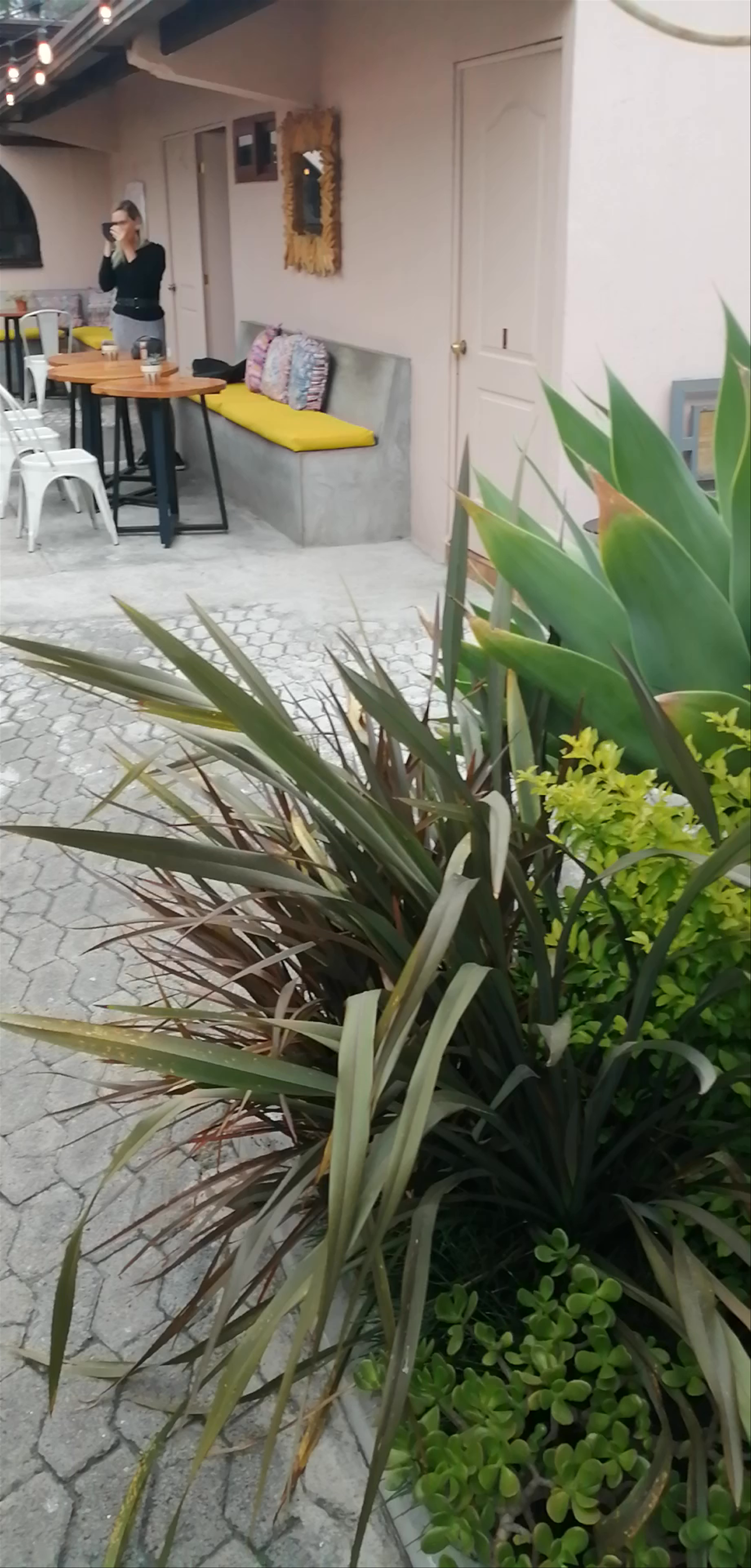 Maya Papaya: Cozy Outdoor Dining Experience in Antigua Guatemala
