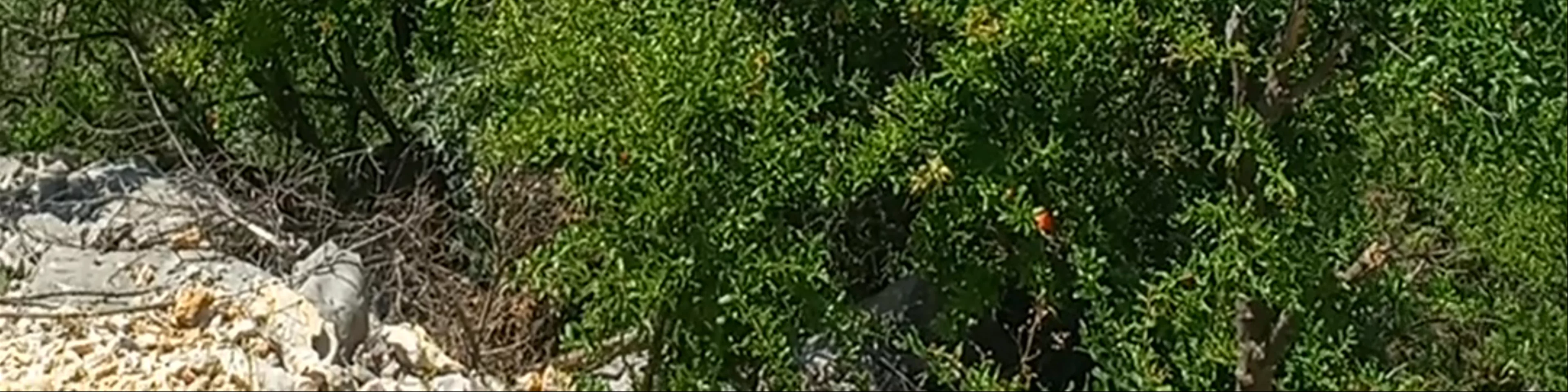 Skadar viewpoint