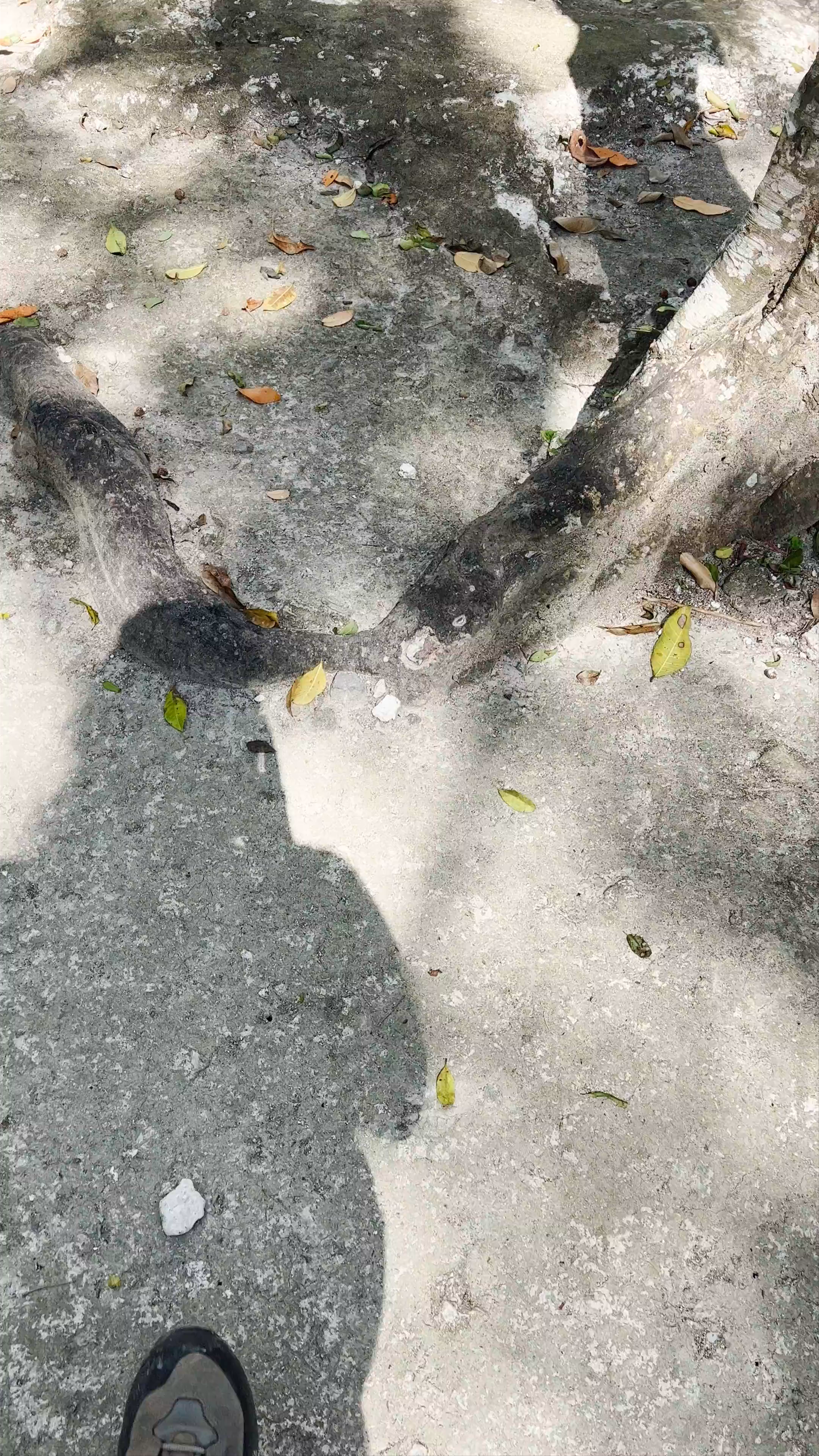 Estructura 3 Calakmul